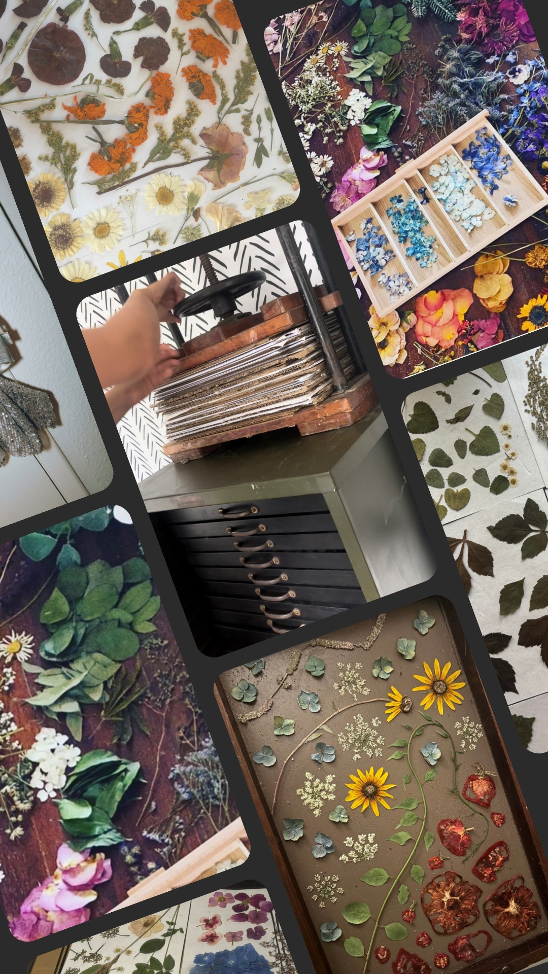 Untitled design (2).png