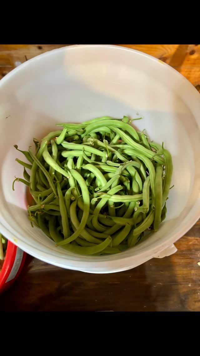 Raw pack, pressure canning green beans 🫛 So easy and delicious to enjoy later!
10psi for 20mins if canning pints 🫙
#canning #pressurecanning #greenbeans #cannedvegetables #homecanning #eatwhatyougrow #growwhatyoueat #greenfood #vegetables #fresh