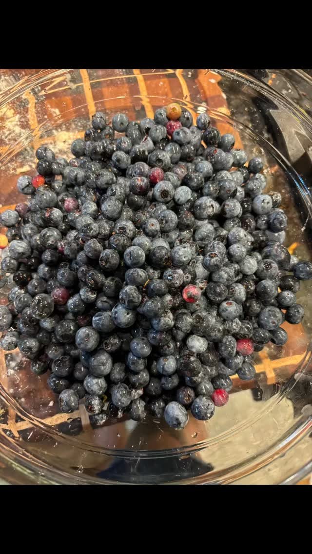 Turn these berries into a berry pie 🫐 #berrypie #blueberries #baking #pie #dessert #berries #growwhatyoueat #eatwhatyougrow