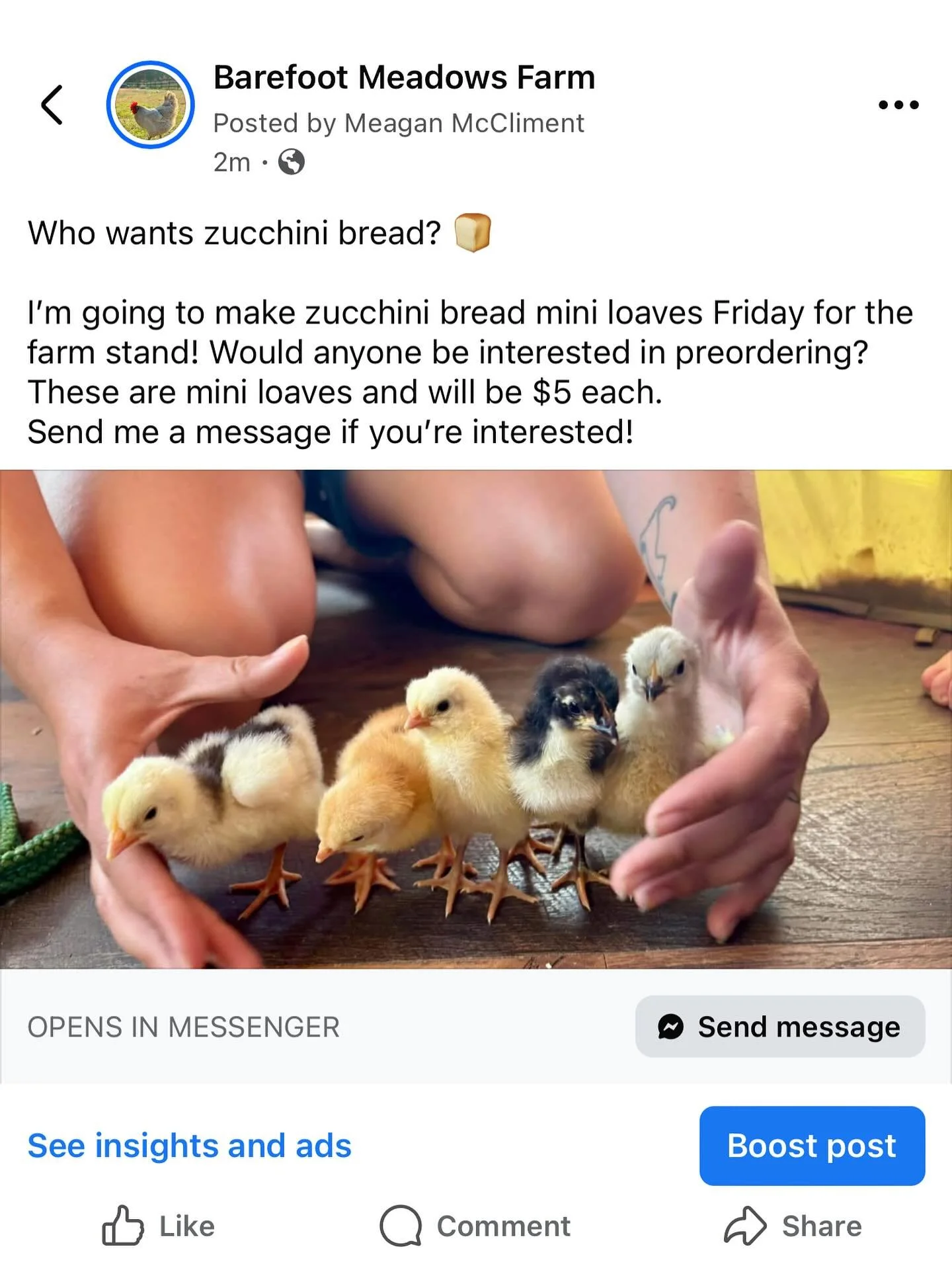 Send us a message to preorder zucchini bread mini loaves!
Pick up will be at the farm stand for whichever day this weekend you prefer 🙂
#zucchinibread #miniloaf #zucchini #farmstand #homemade #fresh #preorder #supportlocal