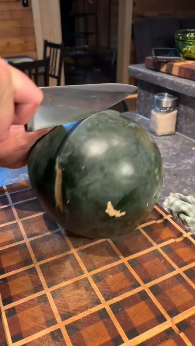 First watermelon of the season… SHE’S PERFECT 😍 #sugarbabywatermelon #watermelon #freshproduce #garden #growwhatyoueat #naturallysweet