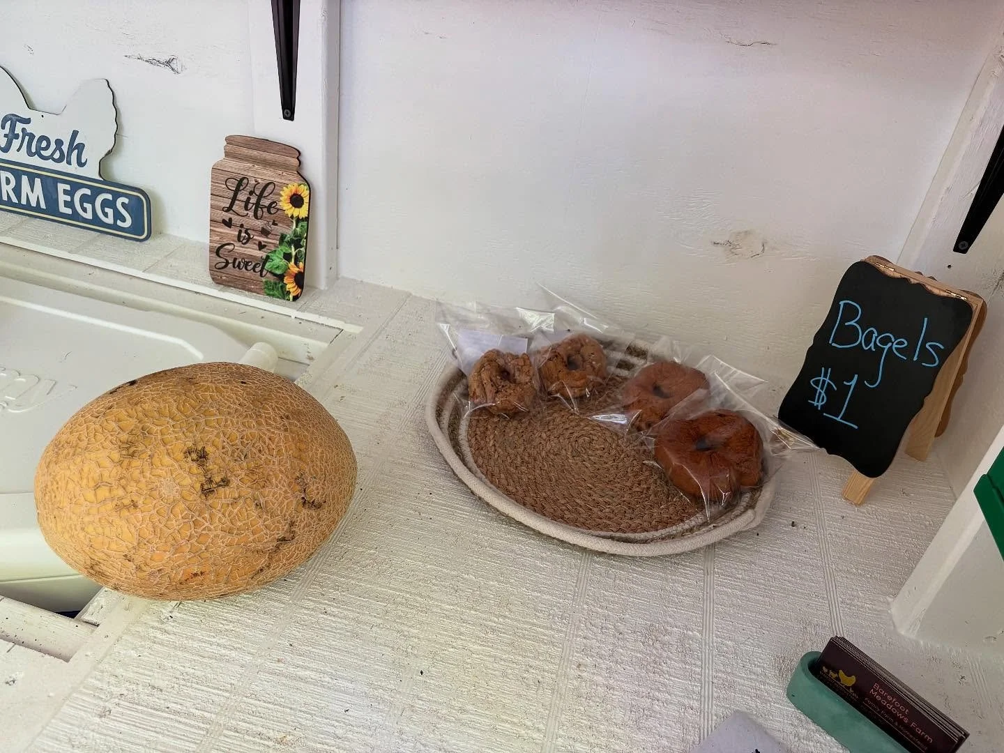 Eggs might be low this weekend but we have fresh baked bagels and cantaloupe!!! 🍈 🥯
10am-sundown, 7 days a week
1110 Boanerges Church rd. (Right off Ladd Springs)
#farmstand #fresheggs #bakedgoods #freshproduce #jams #shoplocal