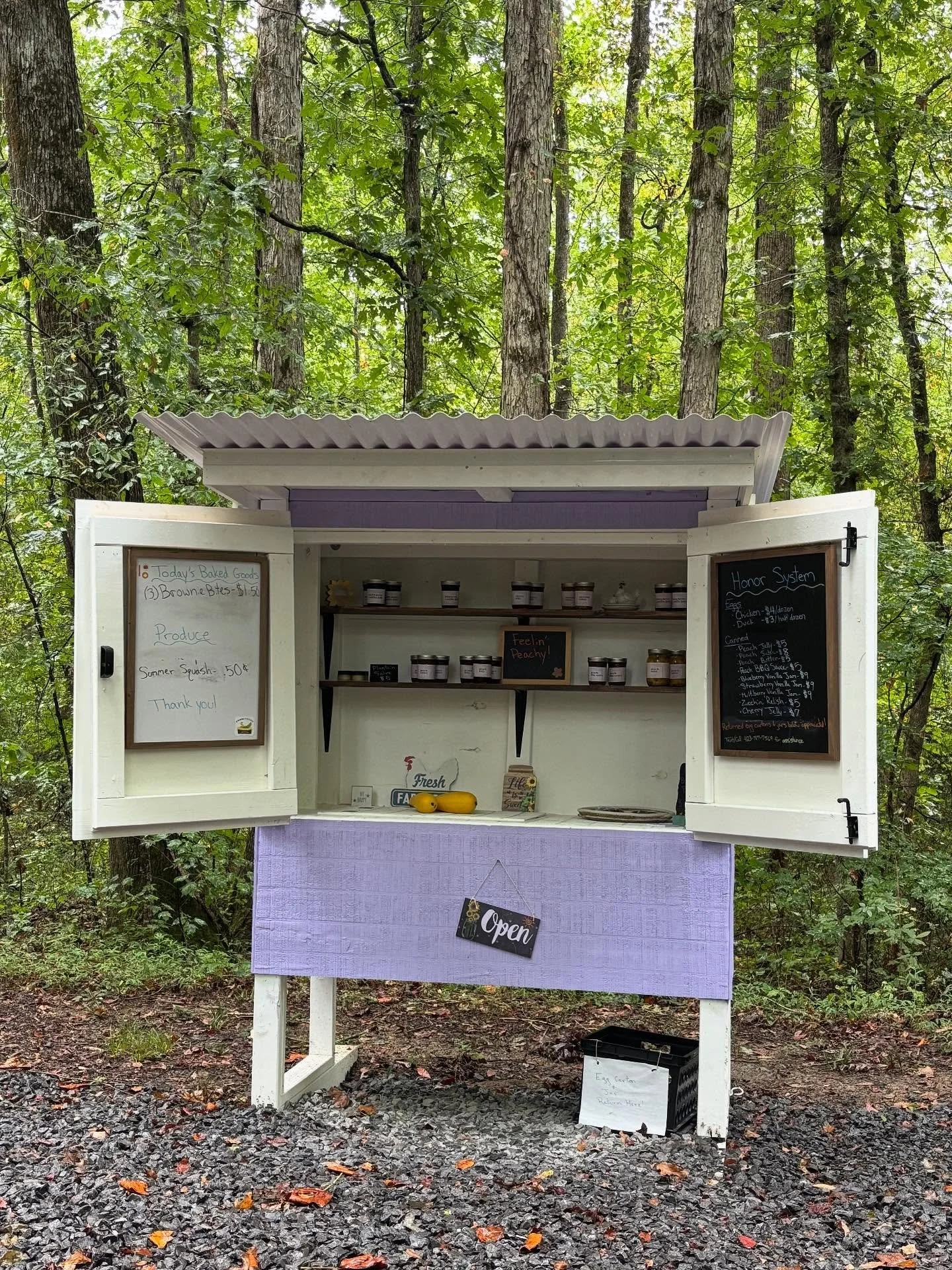 We are restocked on this rainy Saturday! We have super fudgy brownie bites available and the garden has been booming with summer squash that we are happy to share!
🐓 The hens are molting so egg numbers are low. I’ll let you all know as soon a