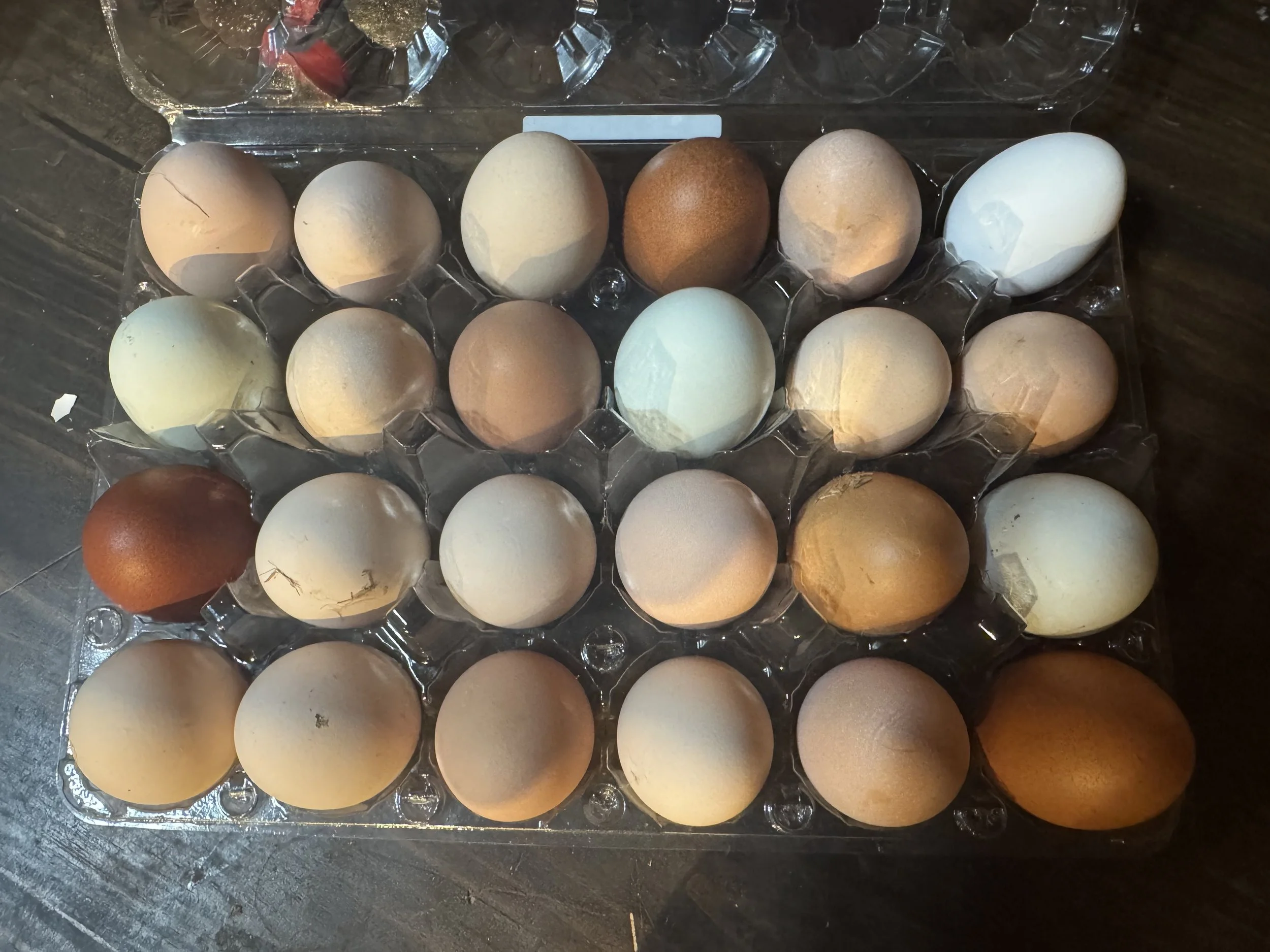 BYM Hen's Choice Hatching Eggs