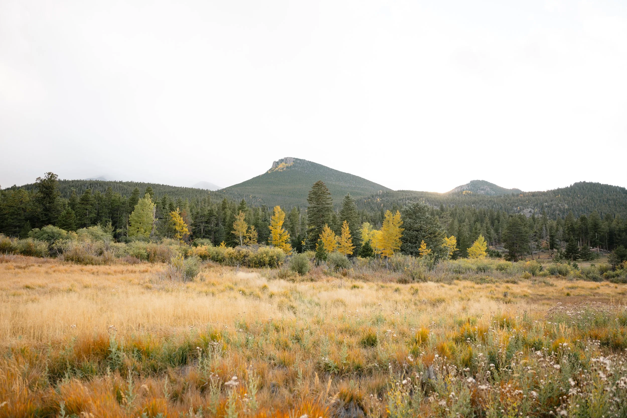 Intimate Rocky Mountain National Park Elopement, Estes Park, Colorado, travel elopement, Colorado wedding photographer, Colorado elopement photographer