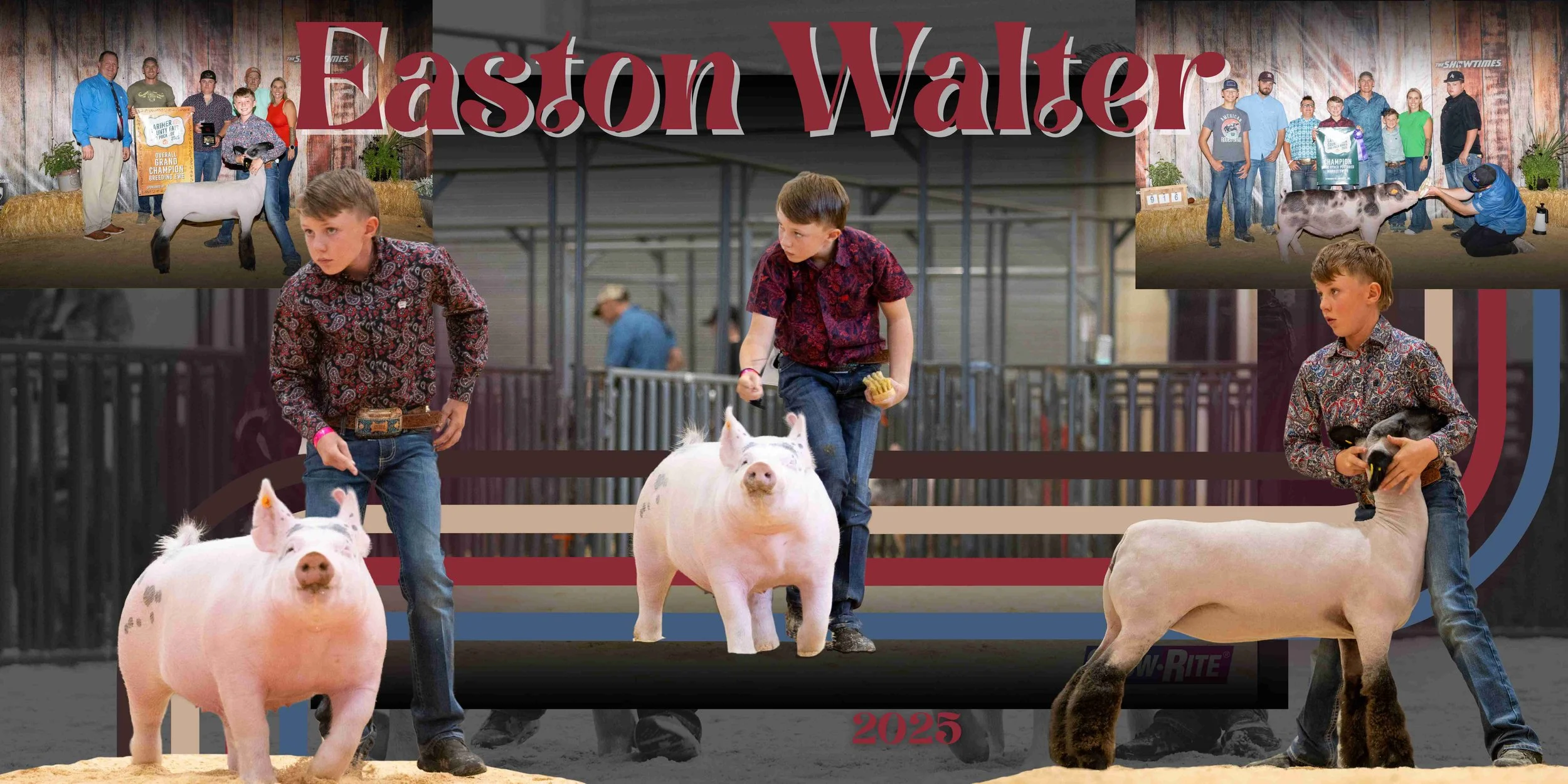 livestock banner, custom livestock banner, stock show banner, livestock show award banner