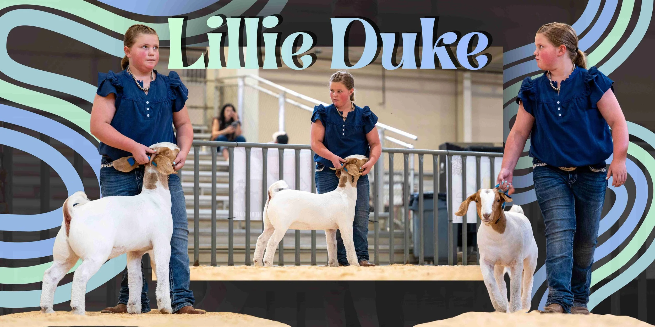 livestock banner, custom livestock banner, stock show banner, livestock show award banner