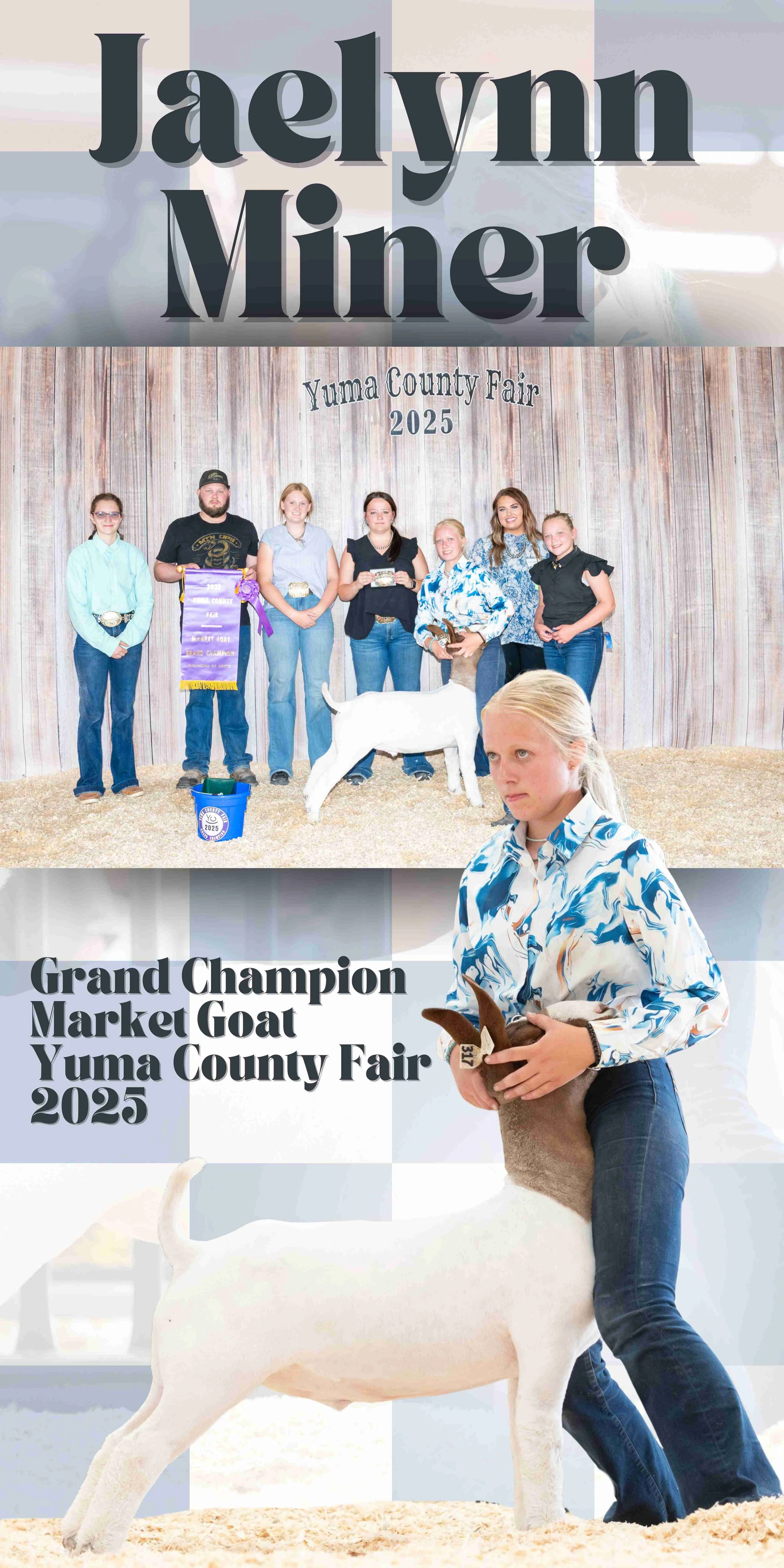 livestock banner, custom livestock banner, stock show banner, livestock show award banner