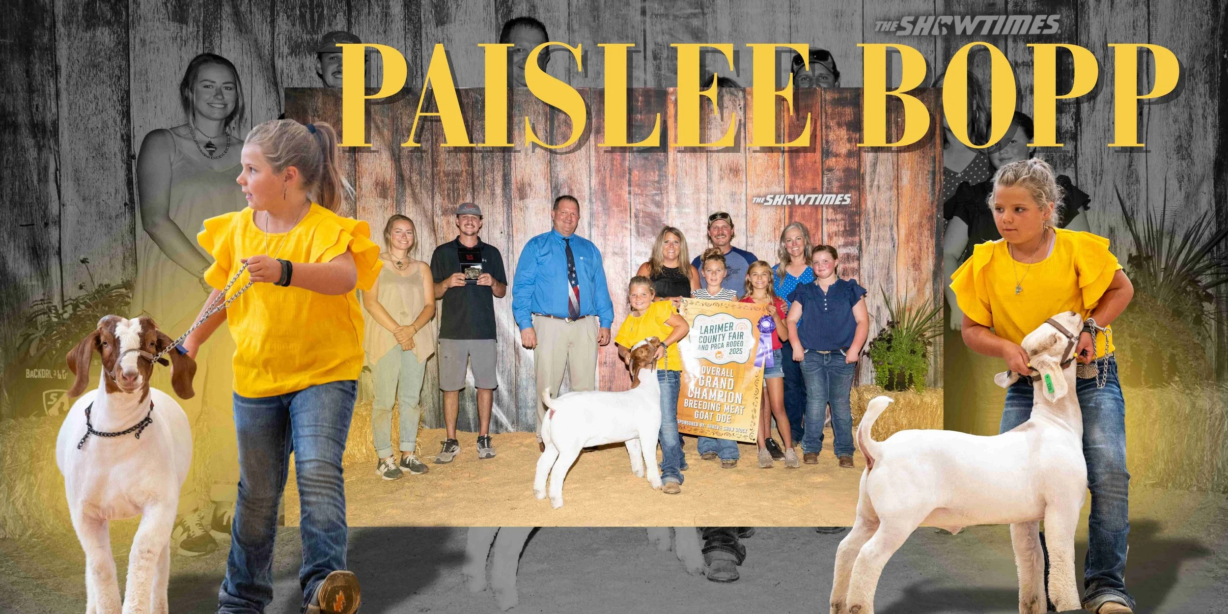 livestock banner, custom livestock banner, stock show banner, livestock show award banner
