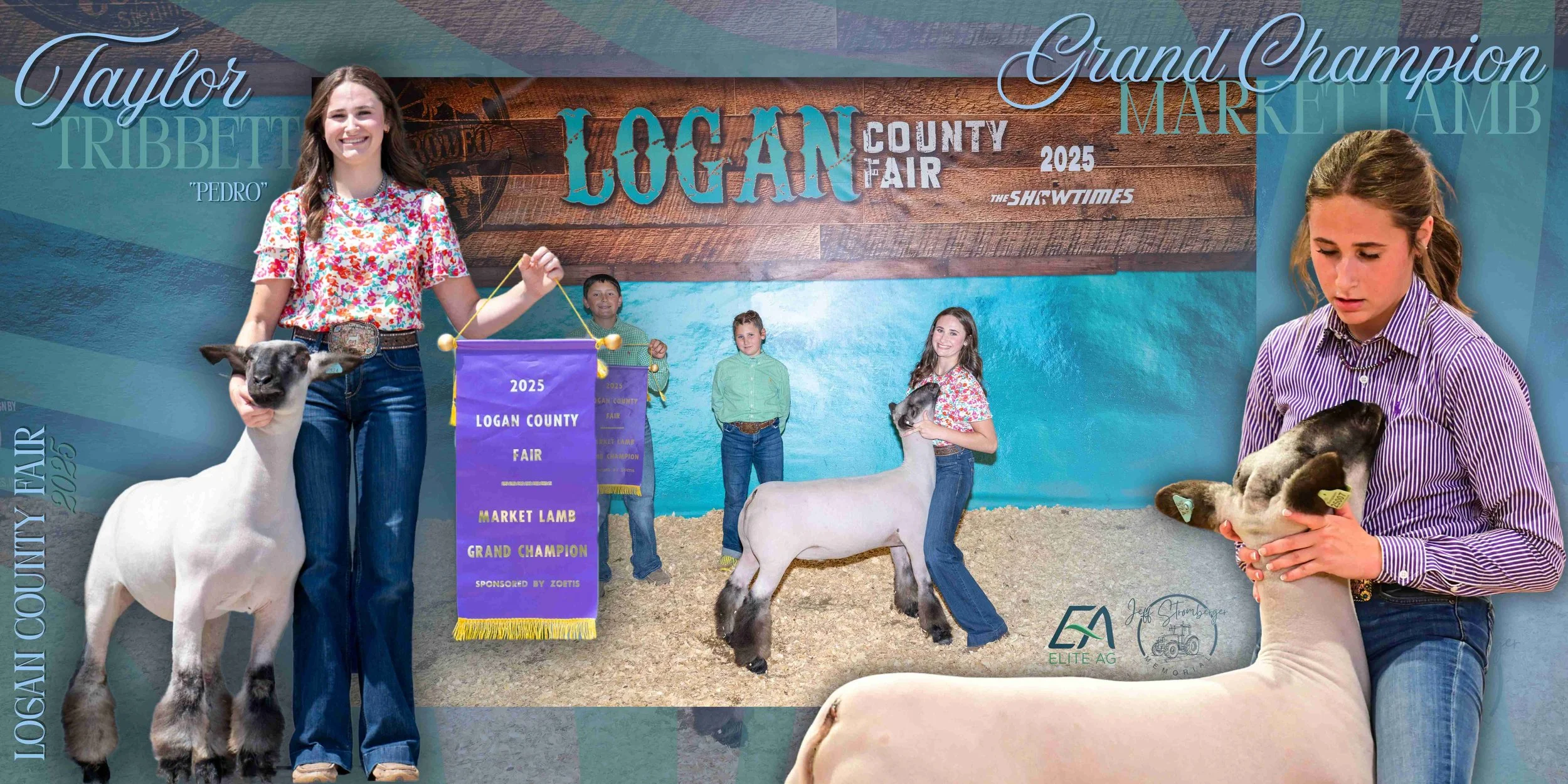 livestock banner, custom livestock banner, stock show banner, livestock show award banner