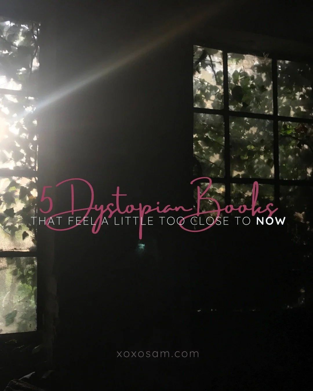 Dystopian? More like contemporary fiction, amirite? 😂😭 I like reading things that give me anxiety and existential dread, so drop your recs below.

🍿 Any movie recs, while we're at it?

#dystopian #bookrecs #apocalypse #whatchareading