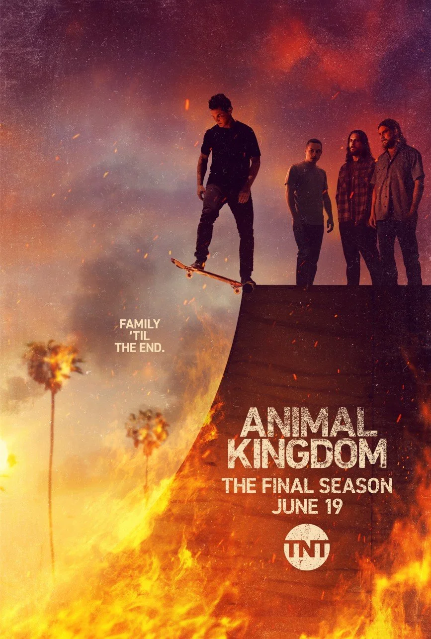 tv_animalkingdom.jpg