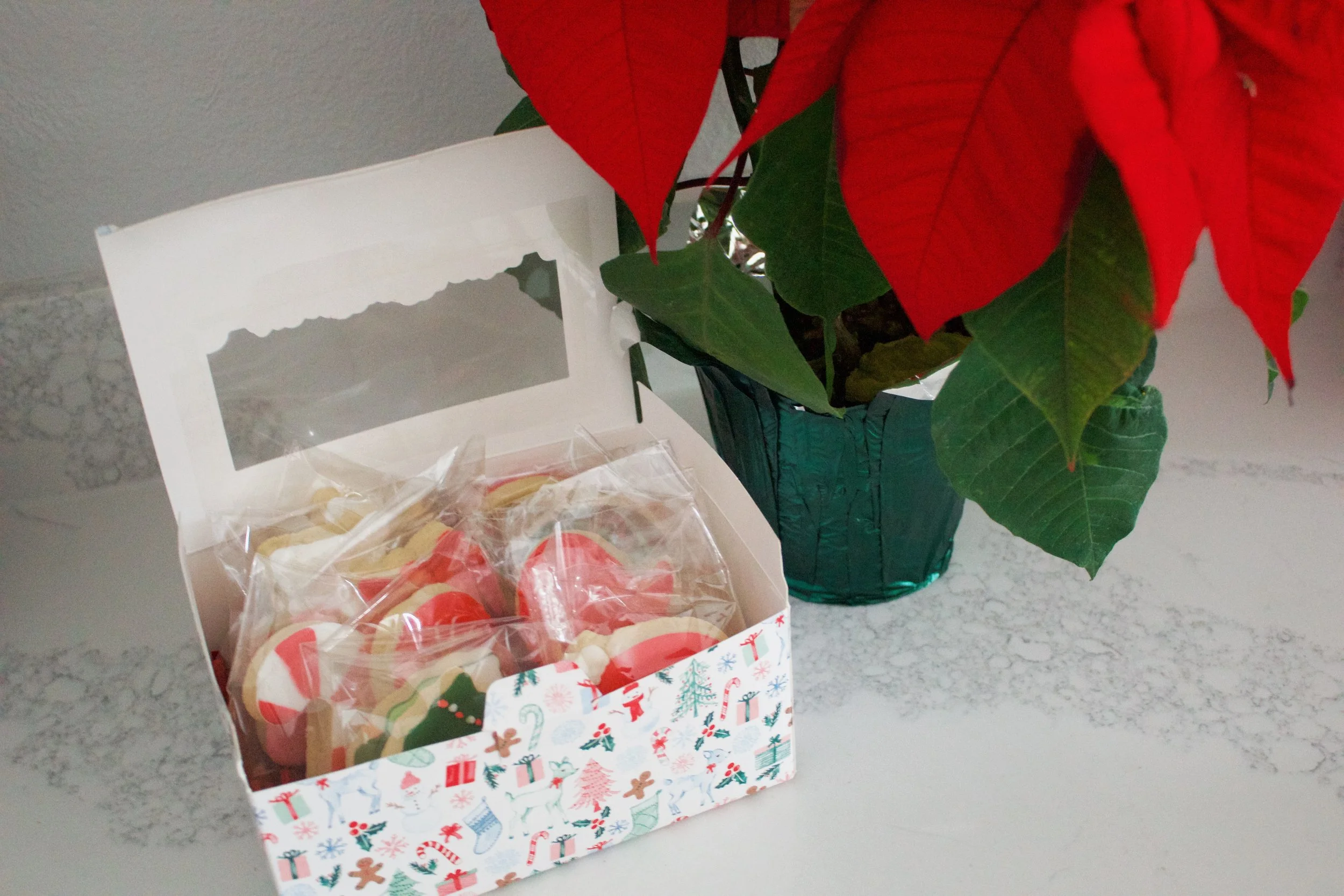 IMG_0722_VSCO.JPG (Copy)