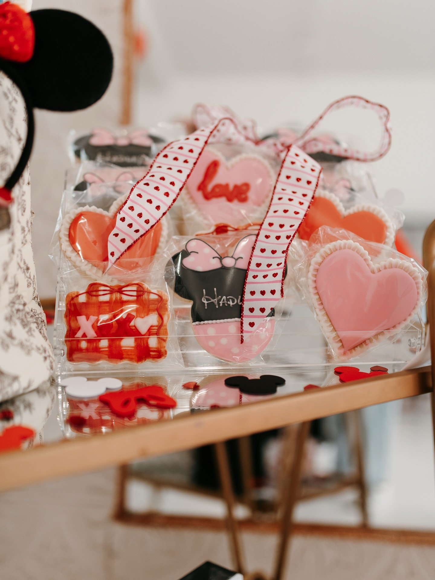 An adorable Minnie Mouse Set for such an amazing non profit that everyone should go look into!@rayofhopeportraits