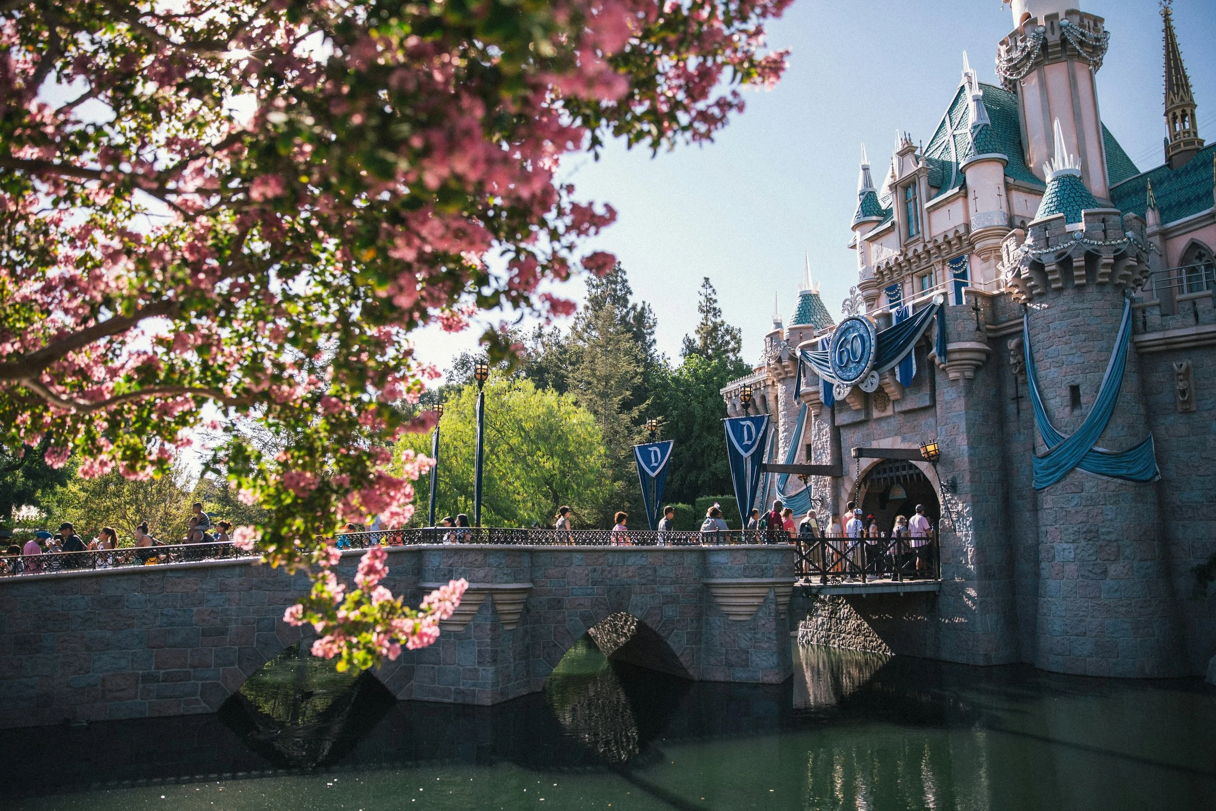 Disneyland Castle