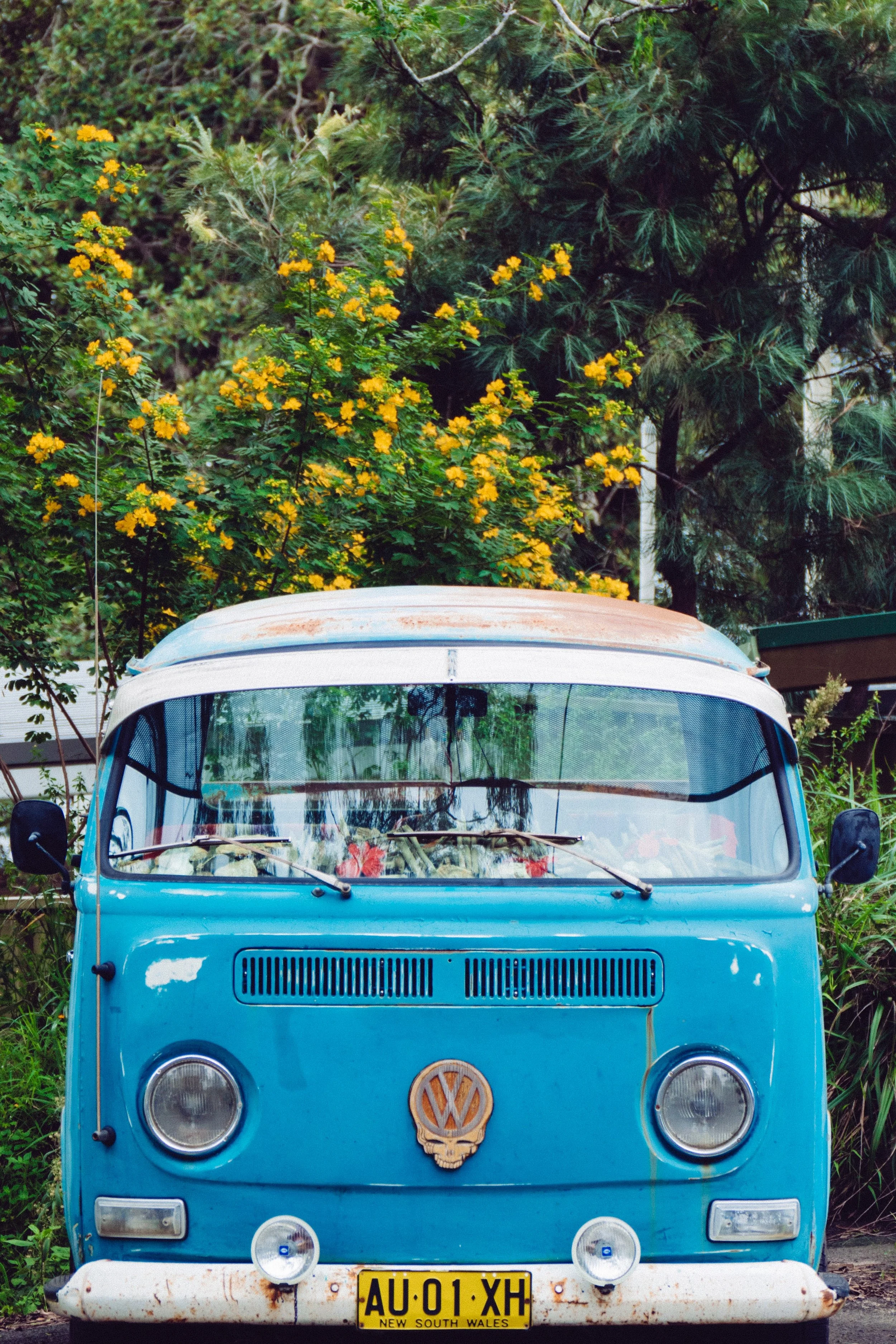 Caravan Adventure