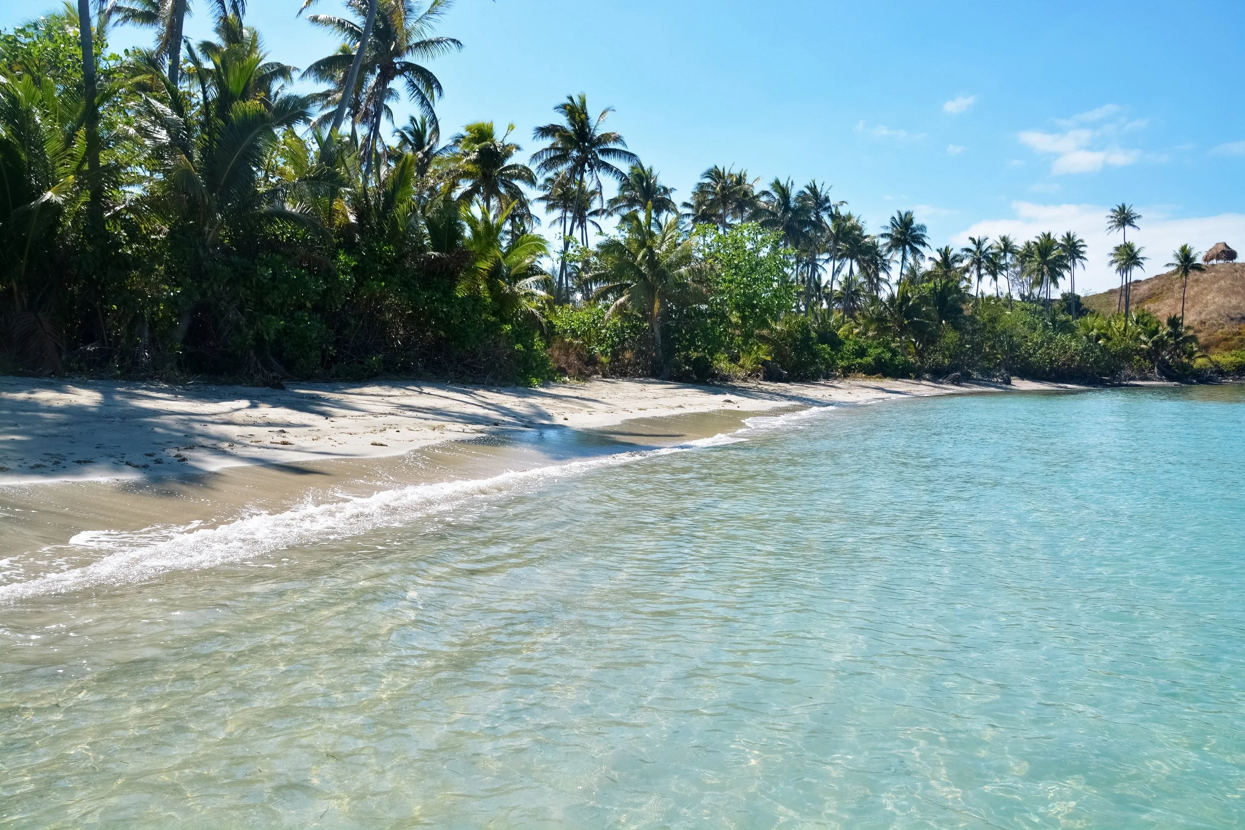Fiji Beach.jpg