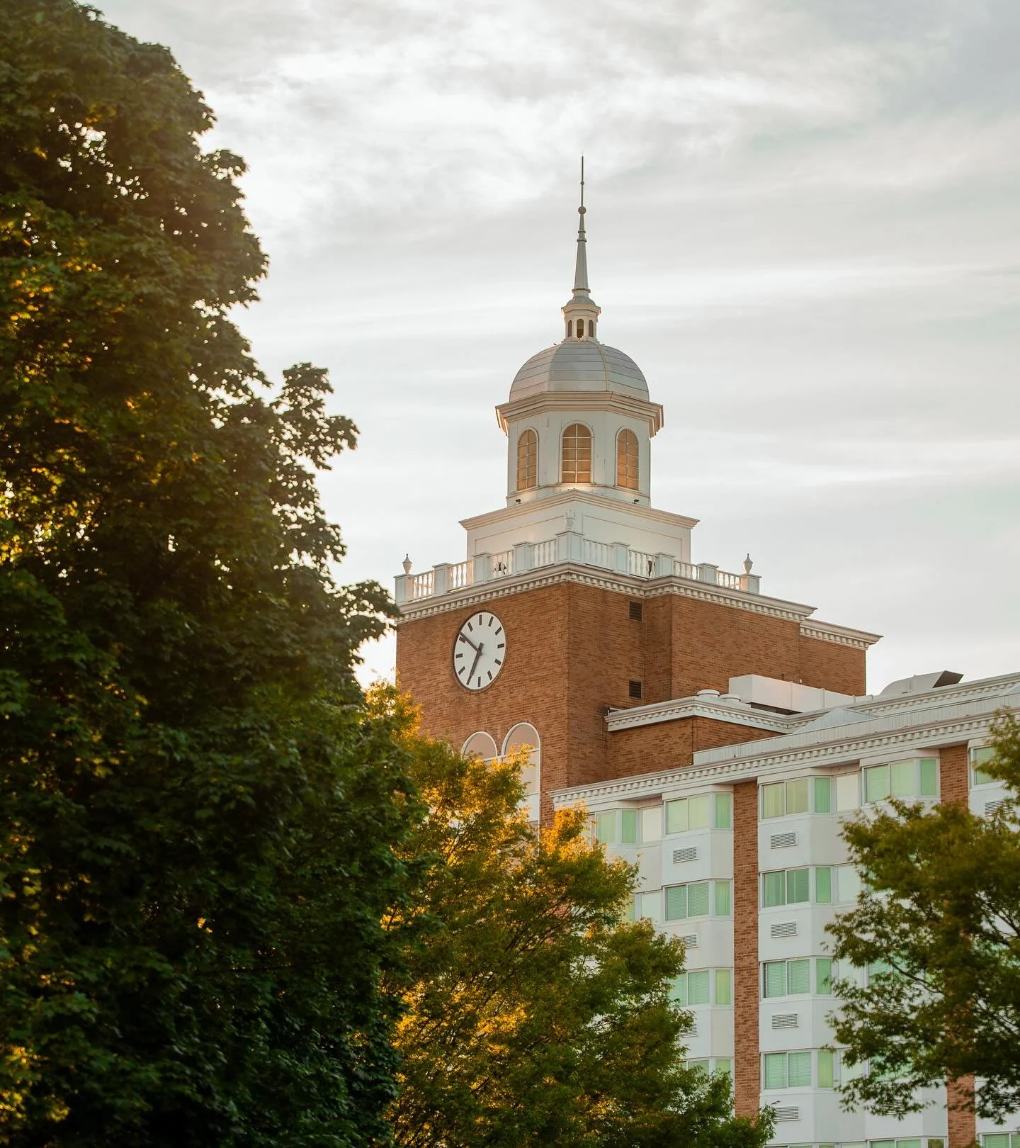 garden city through my eyes