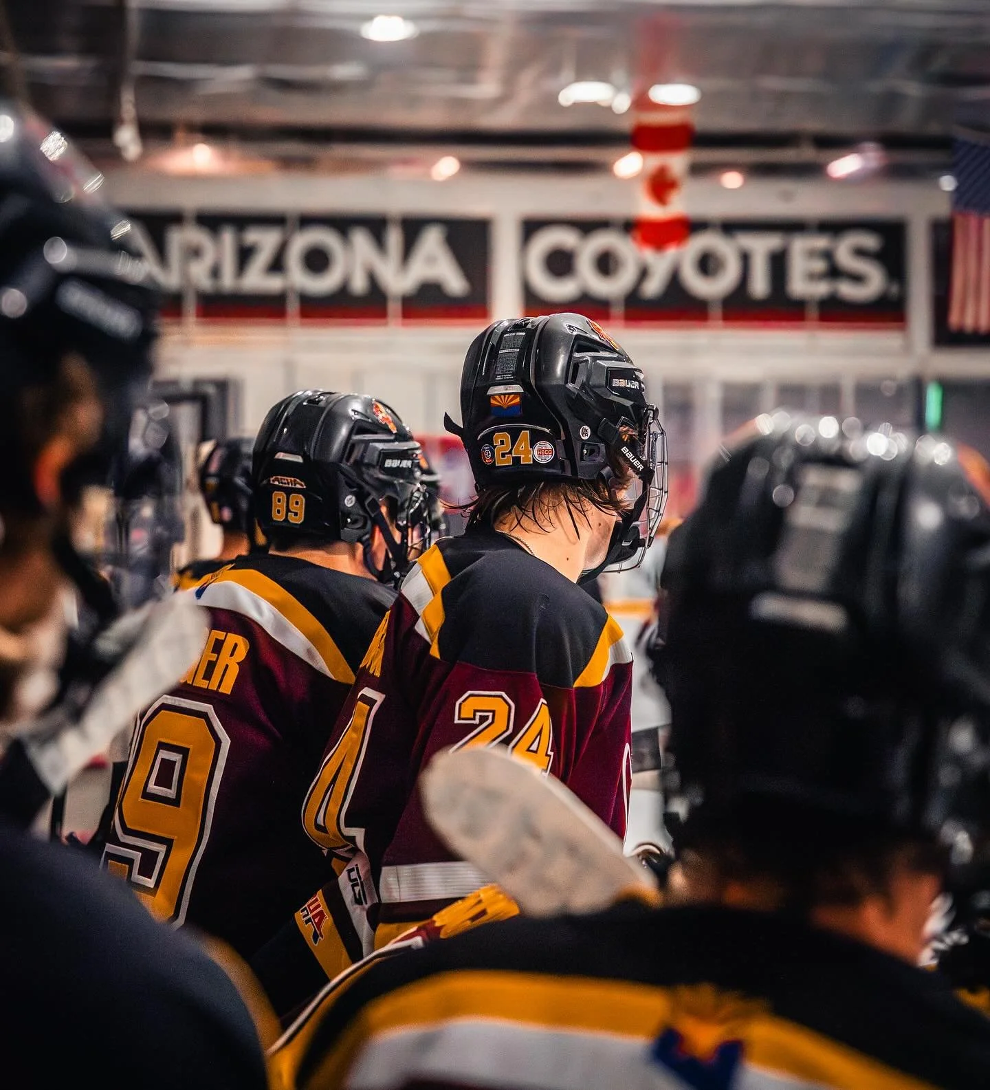 the bench at ice arcadia