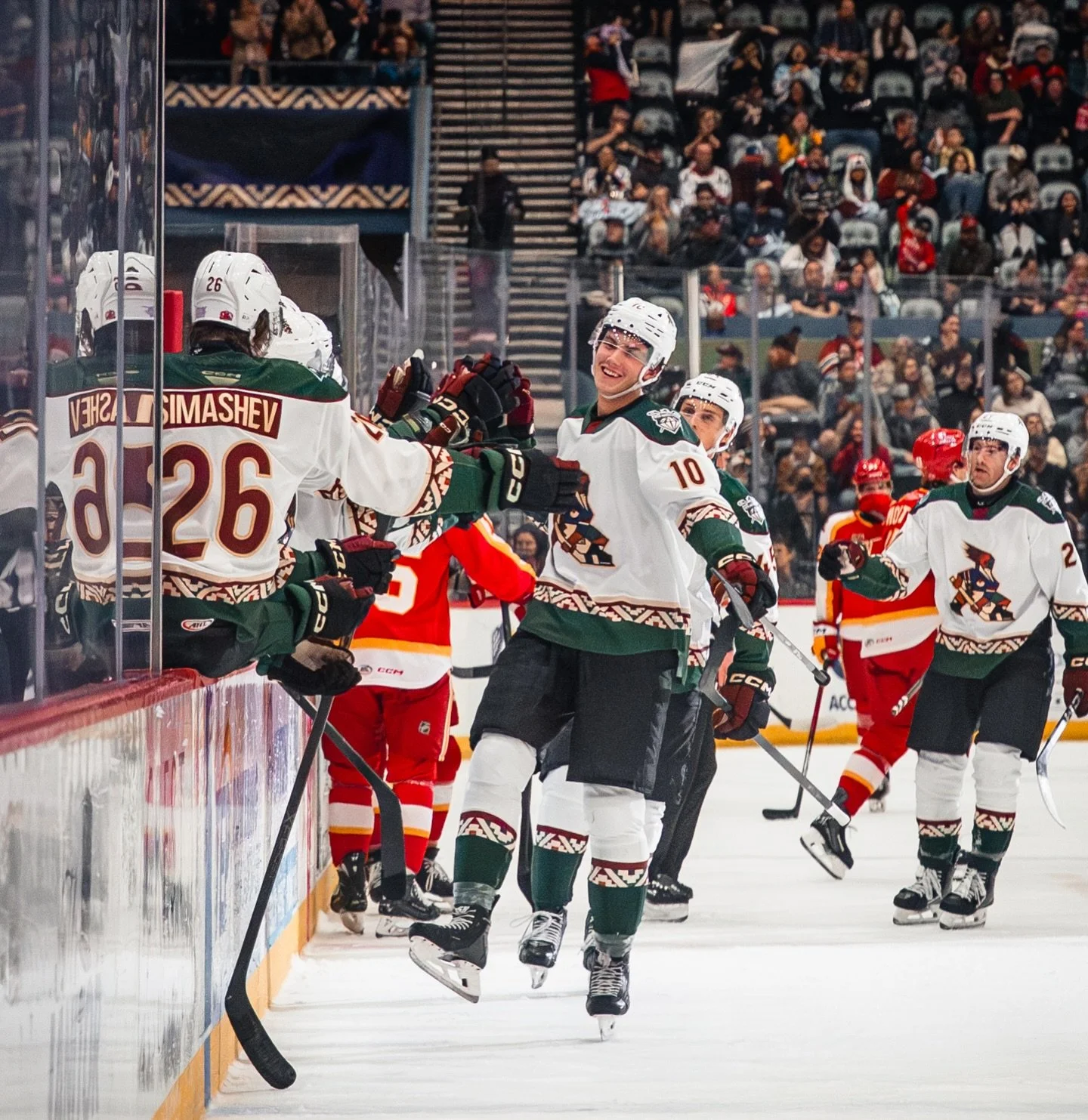 roadrunners cellys

#tucson #roadrunners #hockey #ahl #photography