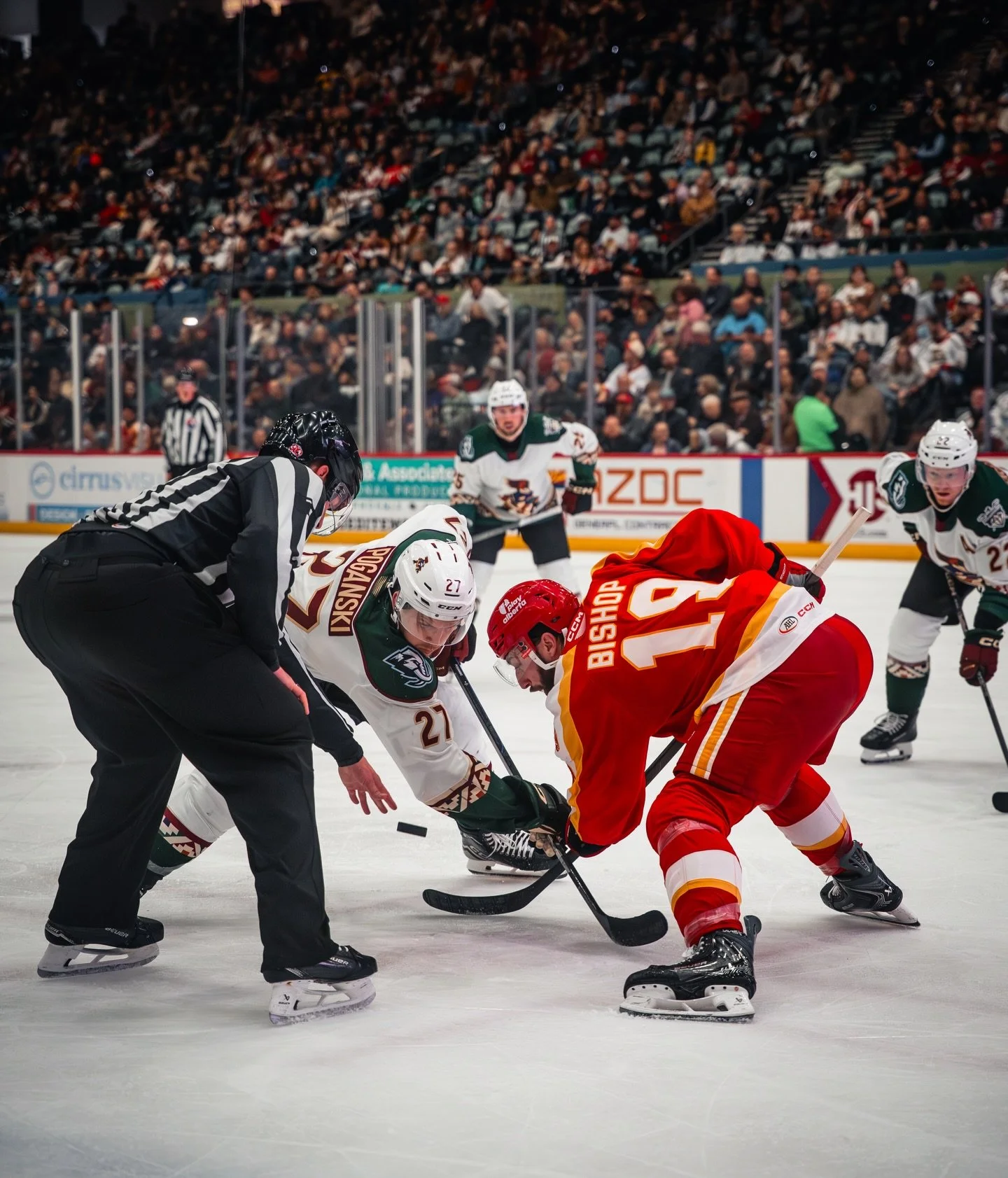 back in business 

#roadrunners #ahl #hockey #photography #tucson