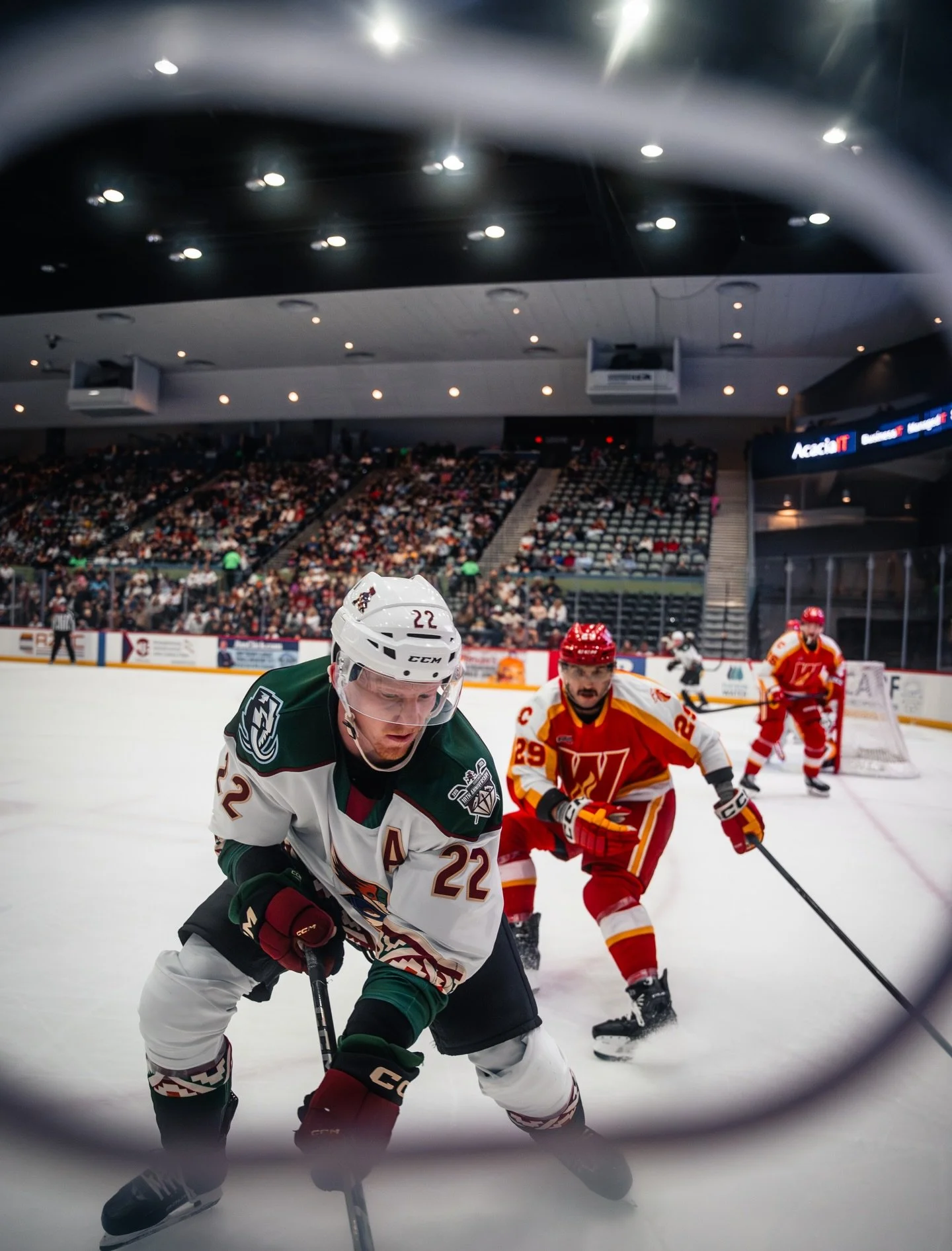 through the photo hole

#ahl #roadrunners #wranglers #hockey #photography