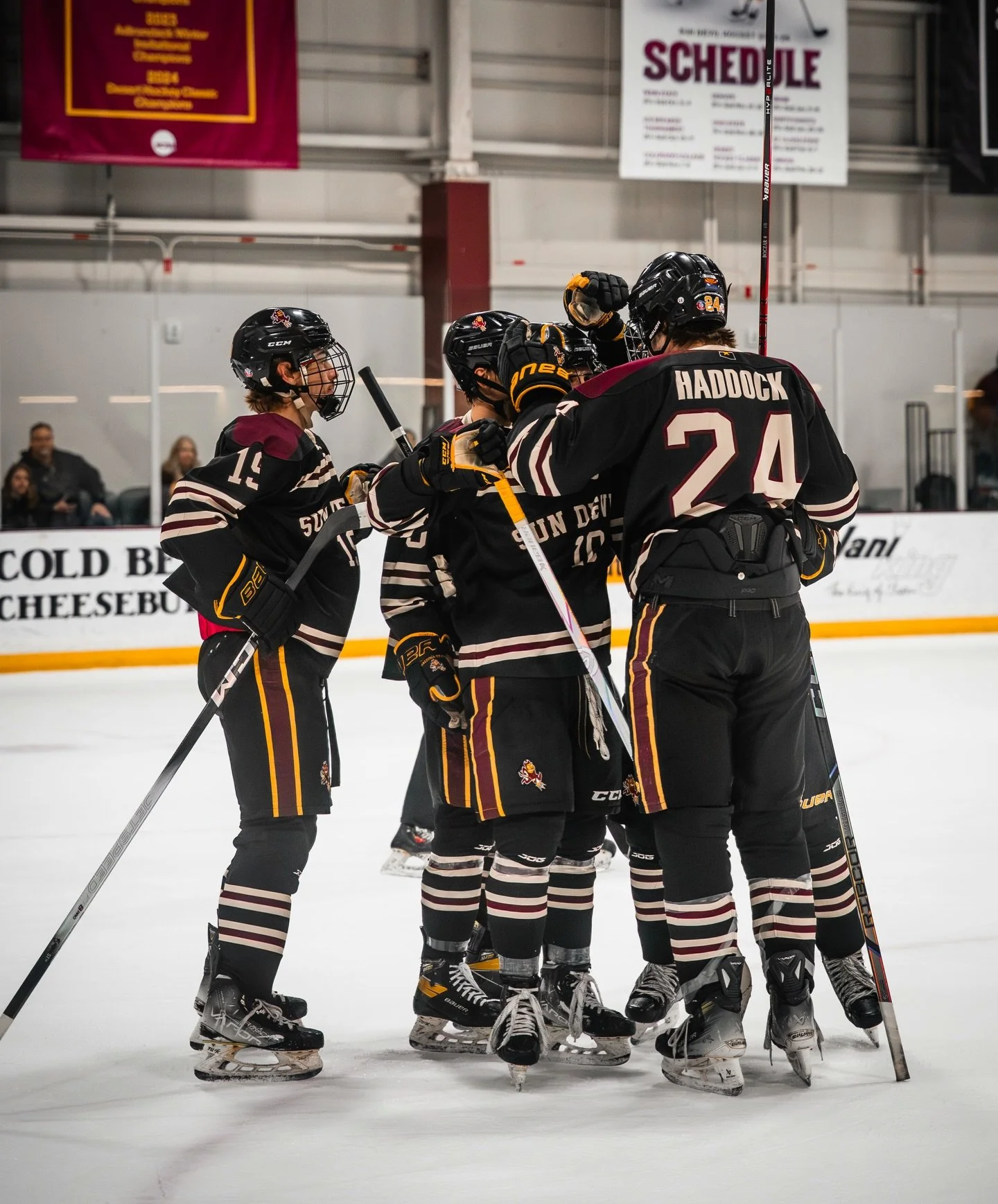 🏒🏒

#asu #hockey #acha #sundevils #photography