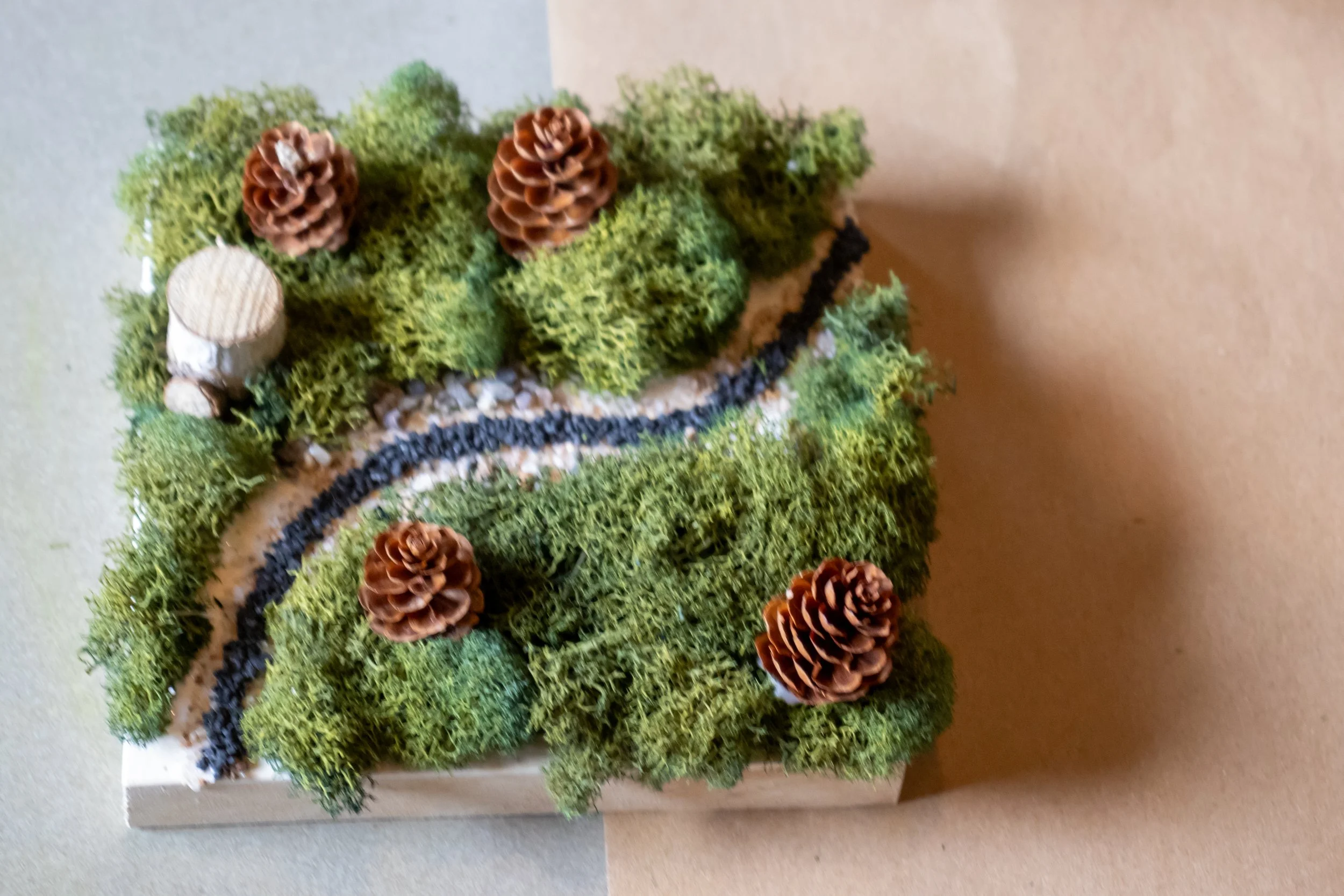 Carl's Railway 2 (1 of 1).jpg