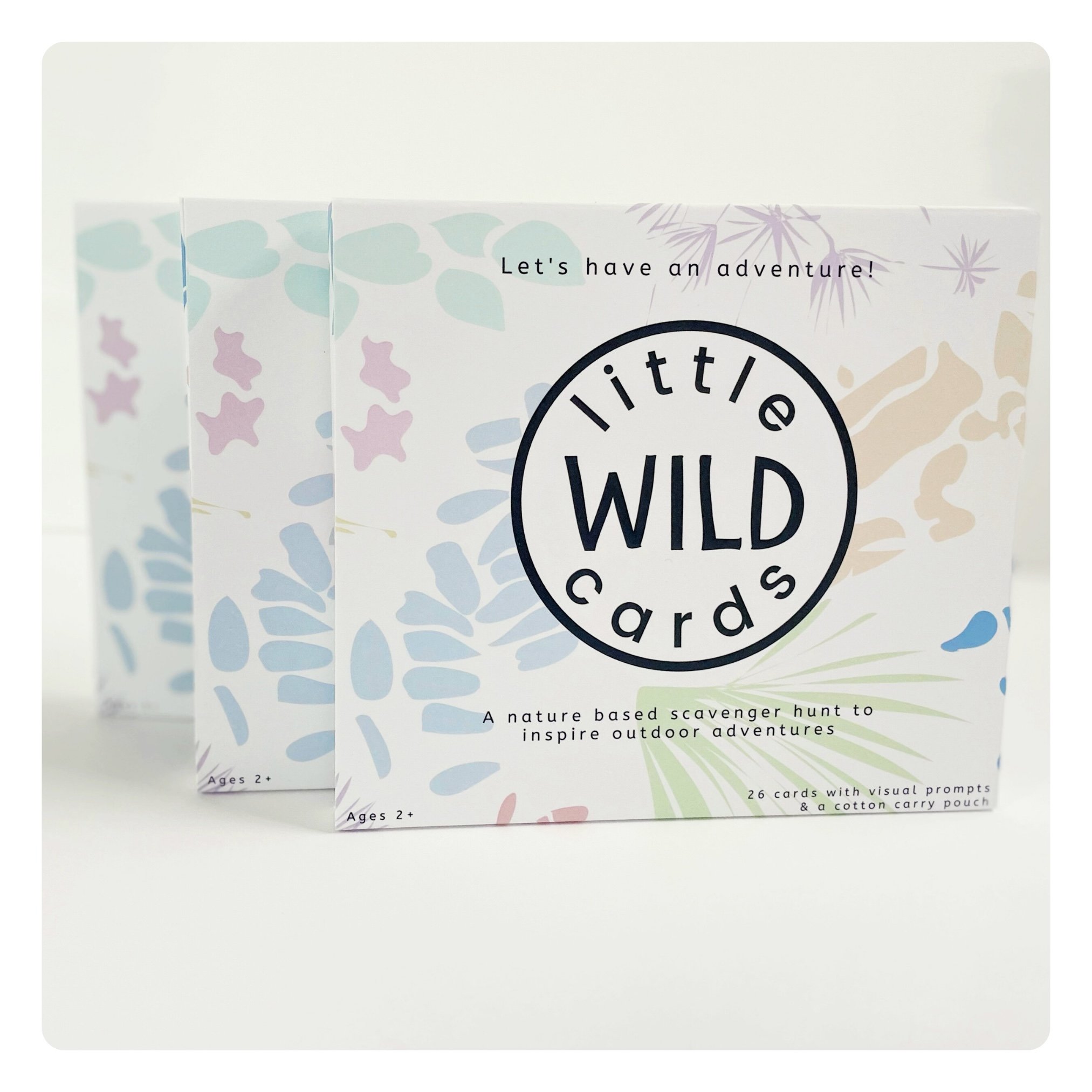 Little Wild Cards | Gift Stash (3 Pack)