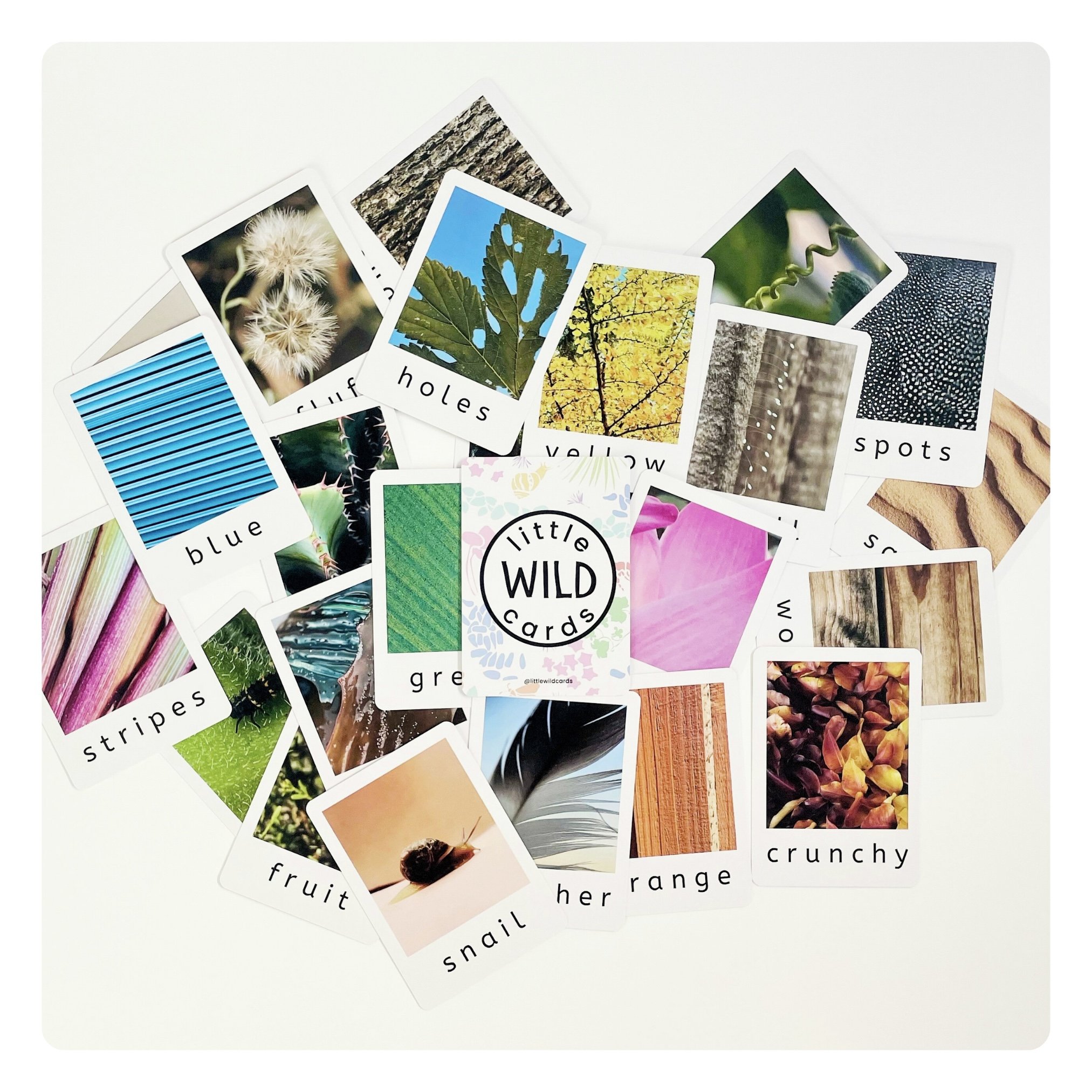 Little Wild Cards | Group Set (5 pack)