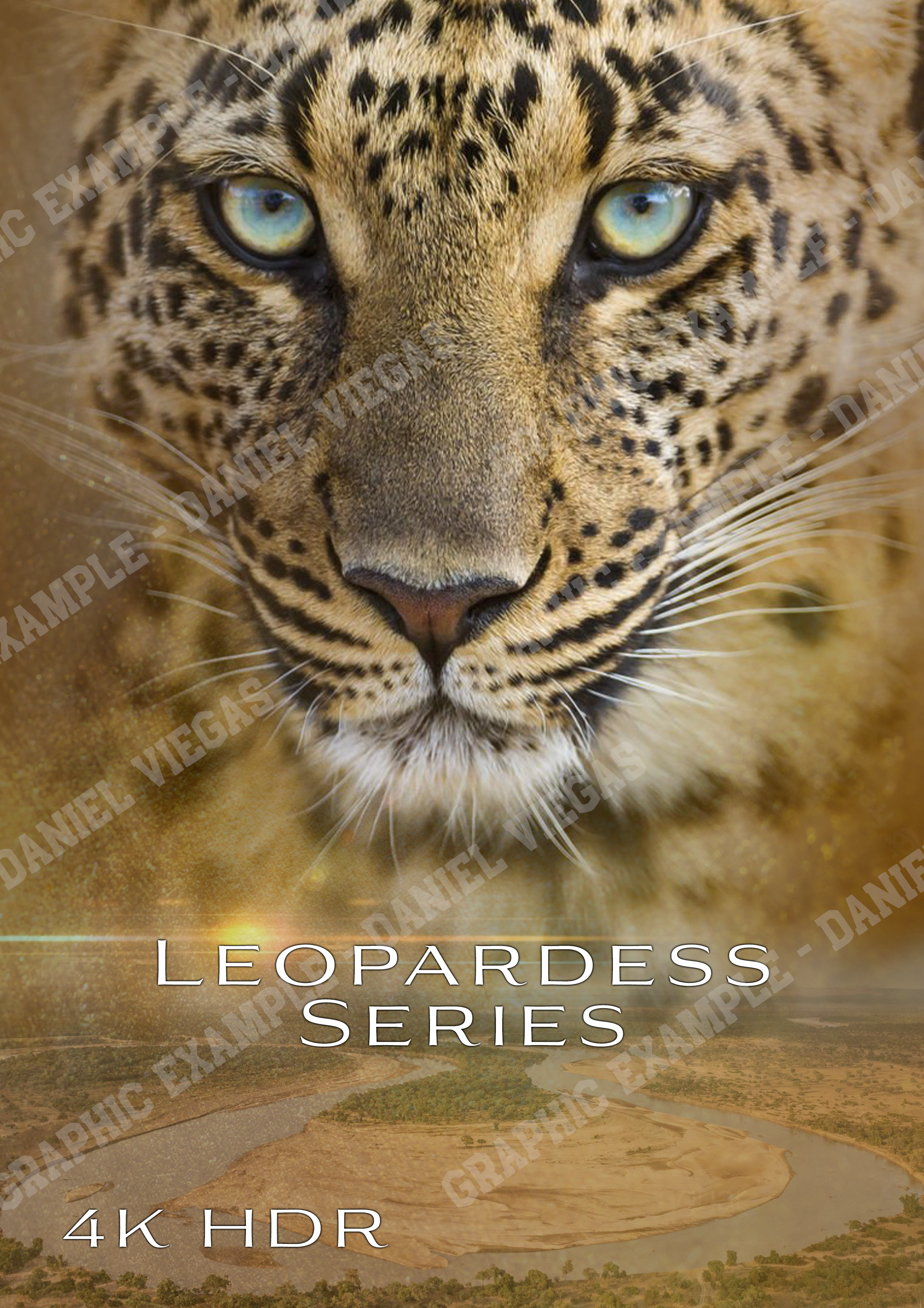 DJVIEGASGRAPHICS-Leopard Series - BIG.png