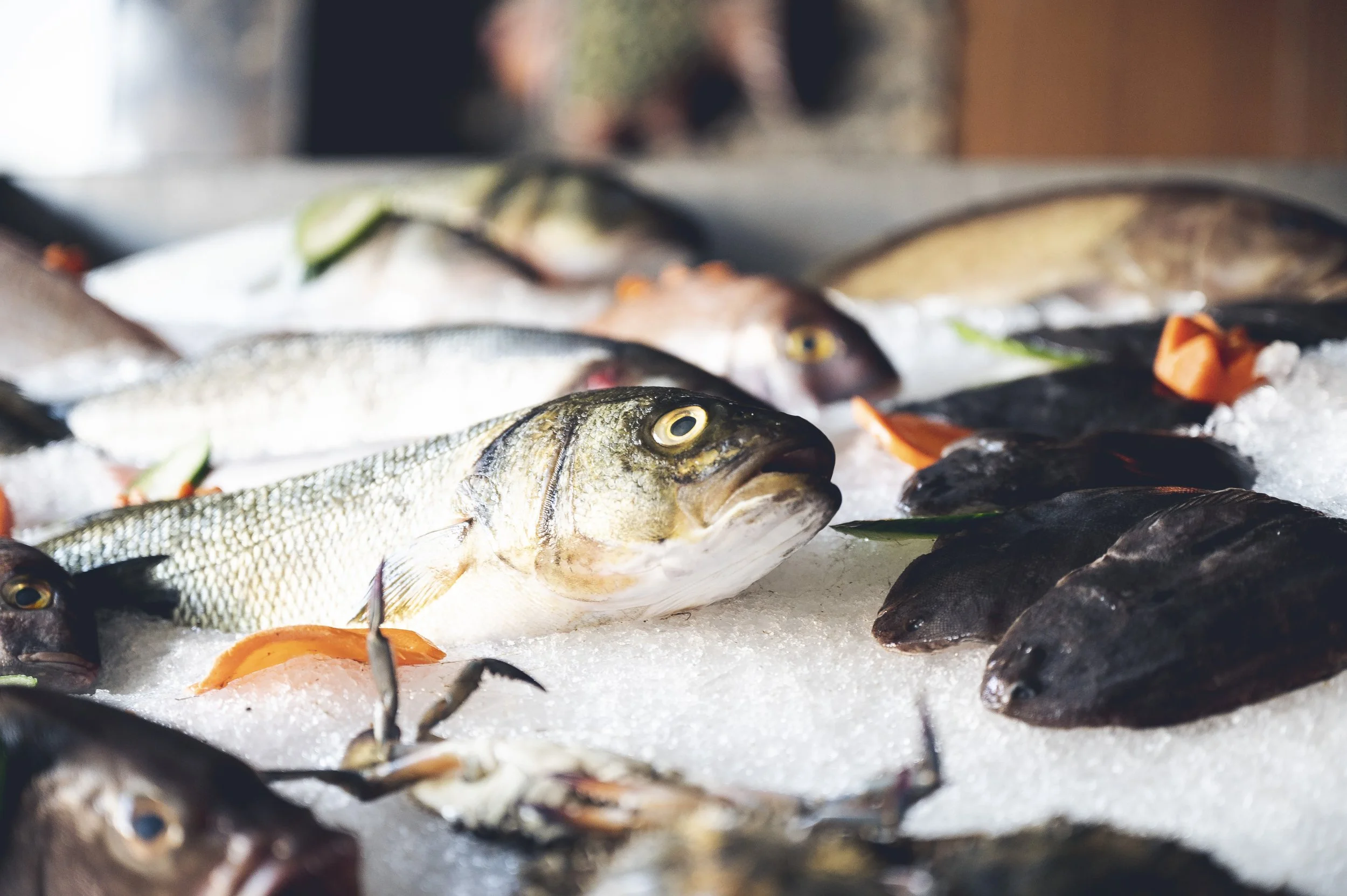 fish-and-seafood-on-ice-at-a-market-2023-11-27-05-15-14-utc.jpg