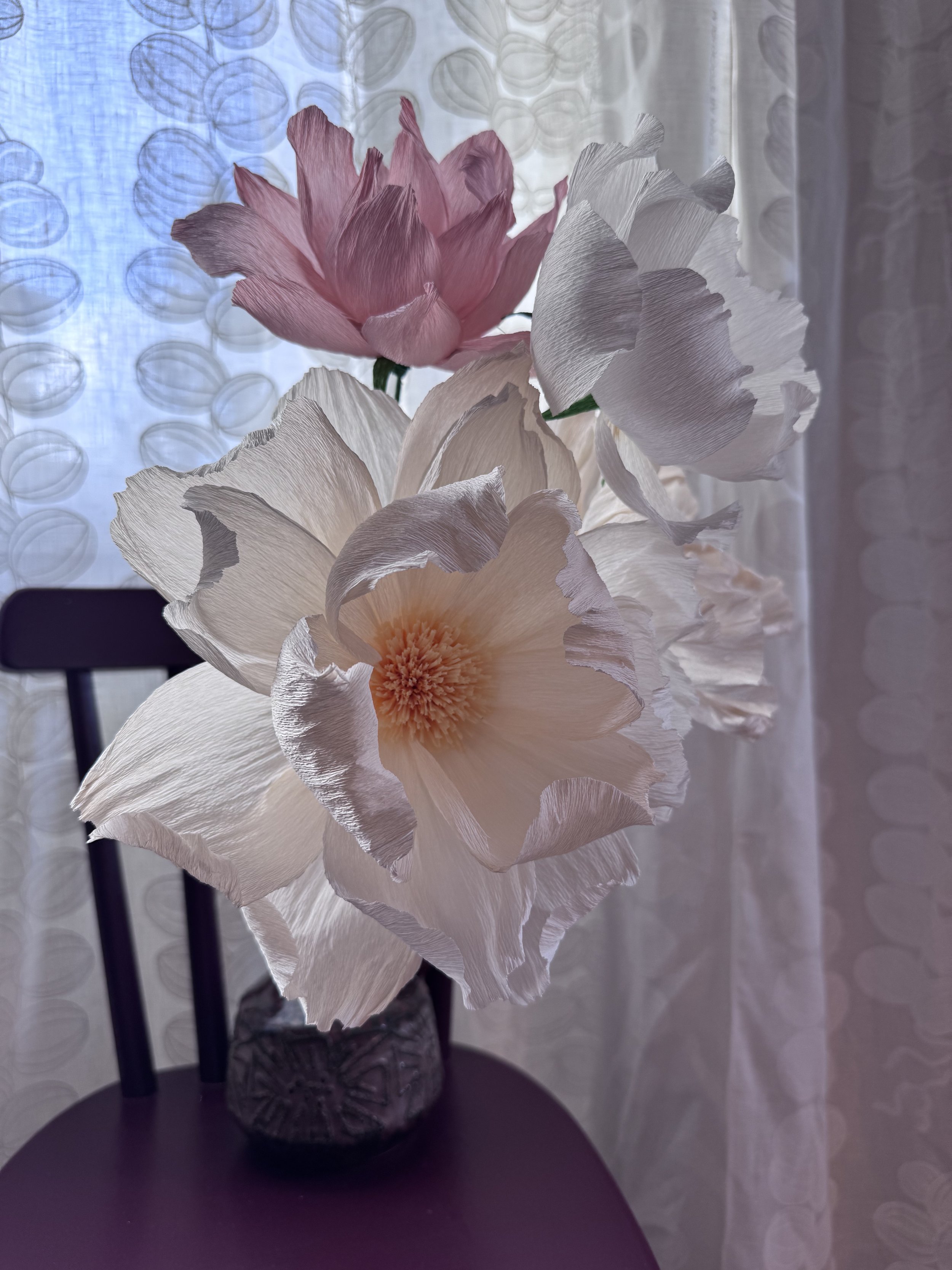 IMG_1271.jpeg