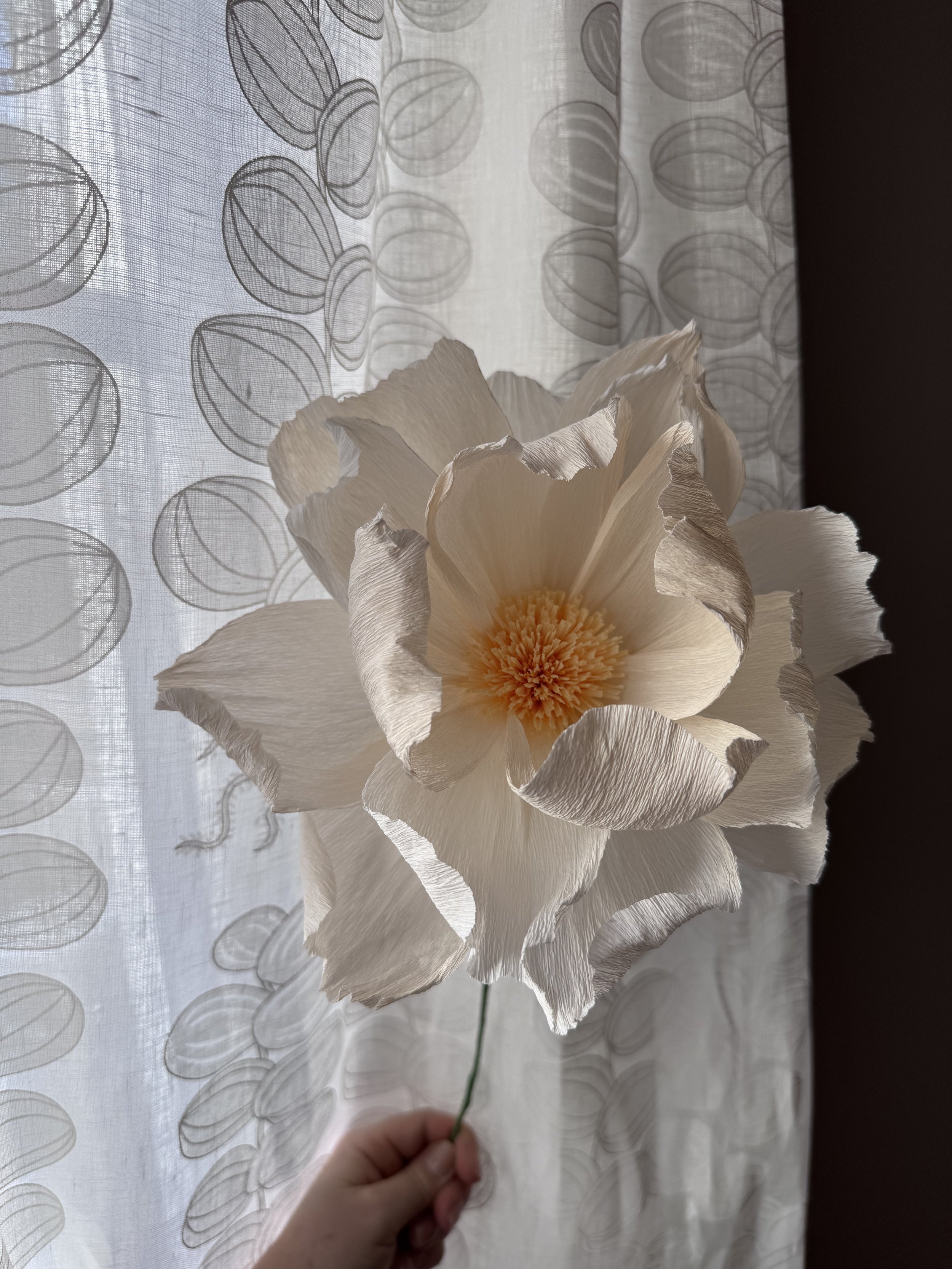 IMG_1250.jpeg