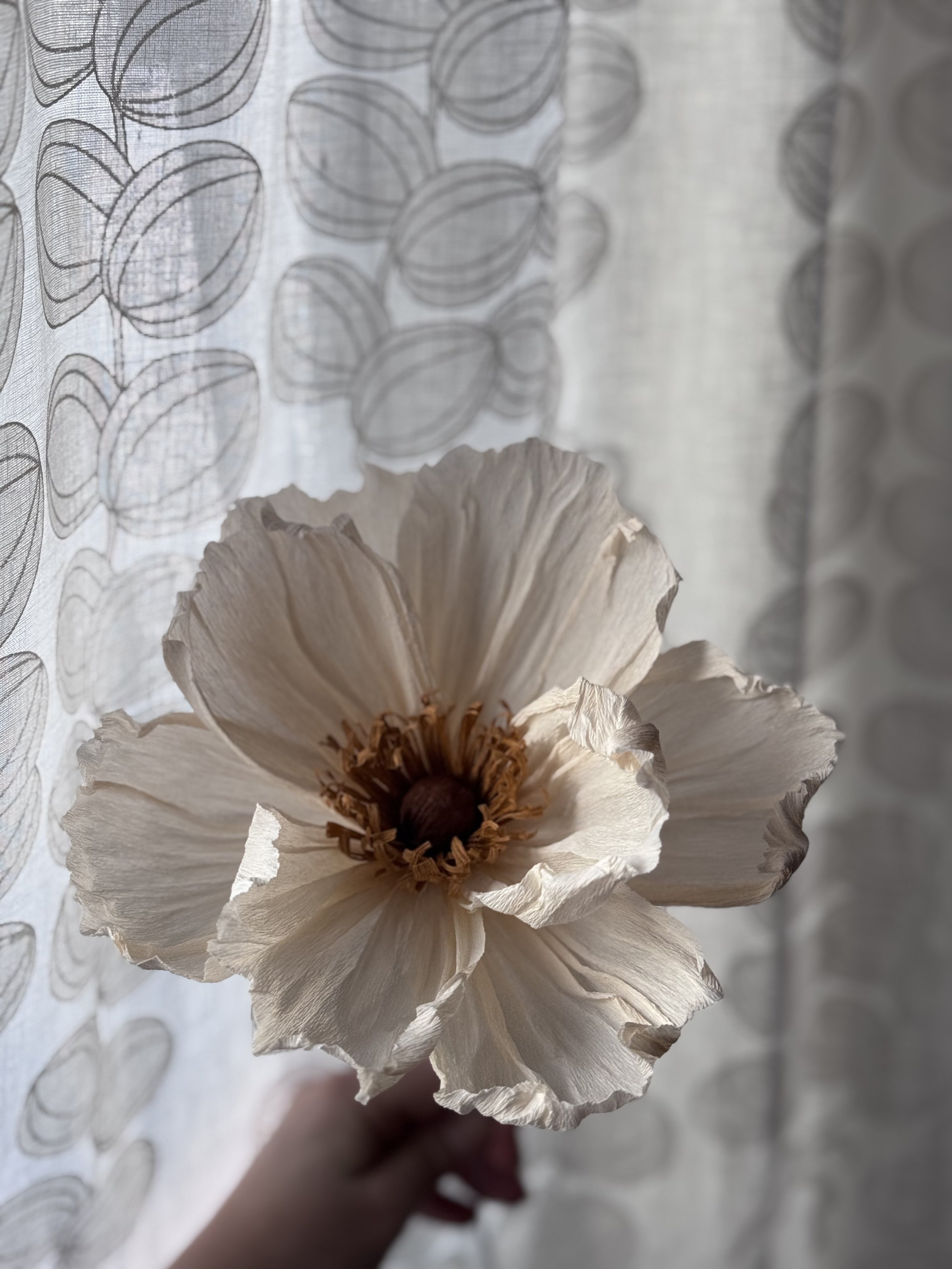 IMG_1255.jpeg