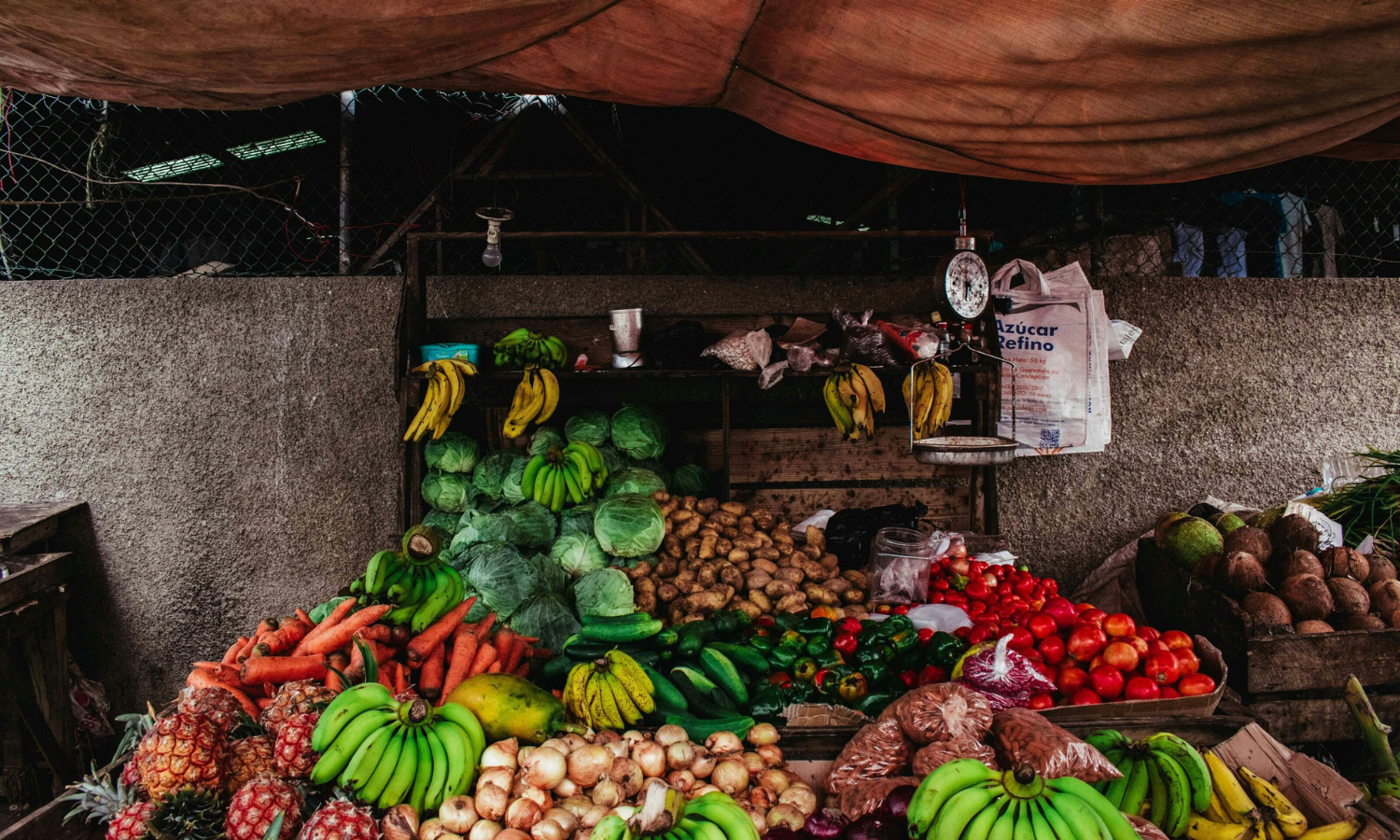Africa’s Health Future Depends on Food: PAN South Africa Calls for Science-Based, Culturally Rooted Nutrition Ahead of Global Health Observances.