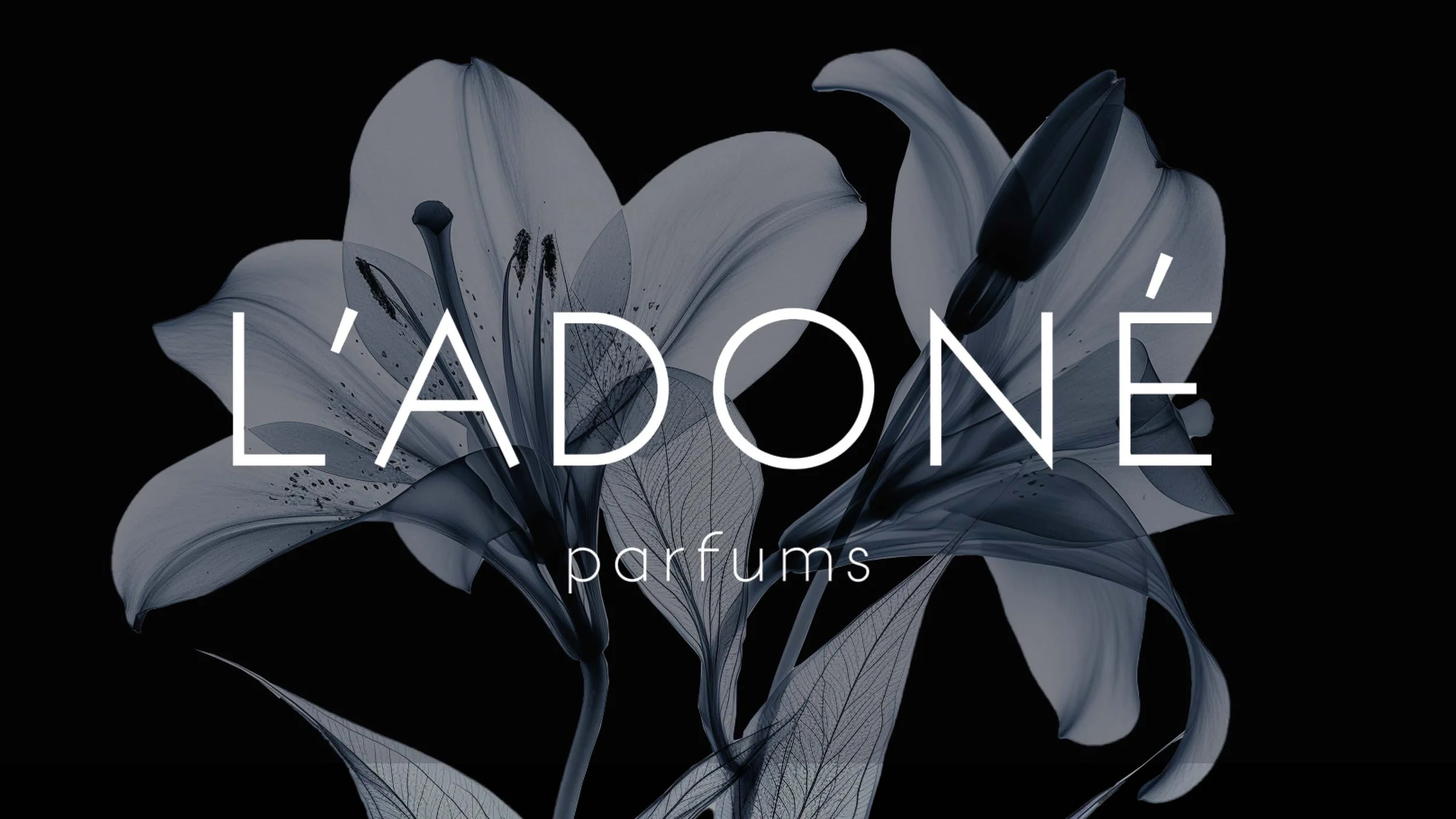 Luxuriöse L'ADONÉ parfums Marken-Identity in einer künstlerischen, von imagespy mittels KI und 3D-Design geschaffenen High-End-Inszenierung.