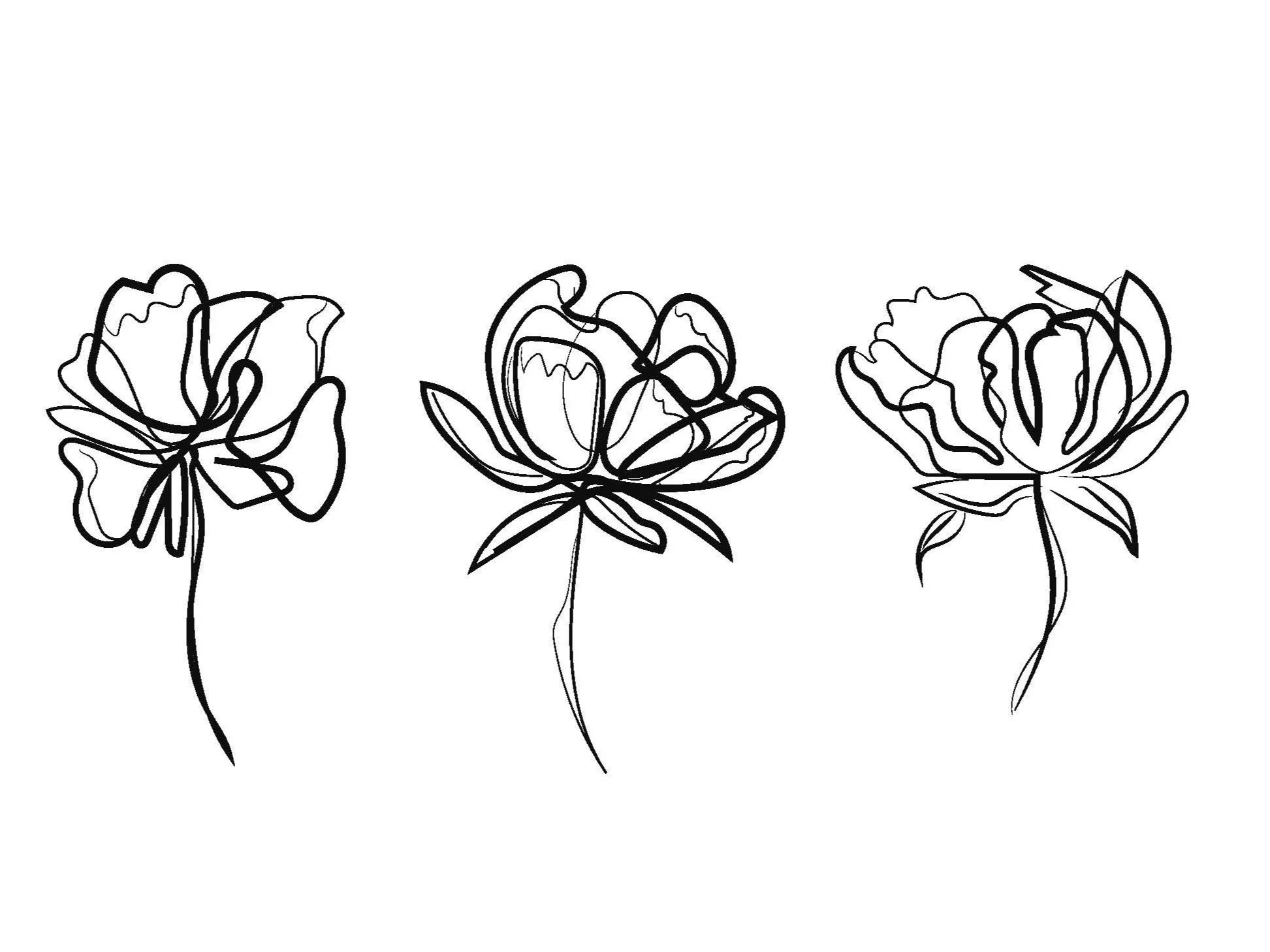 Minimalistische Blumen-Illustrationen von imagespy im Line-Art-Stil für das comma Magazin Design.