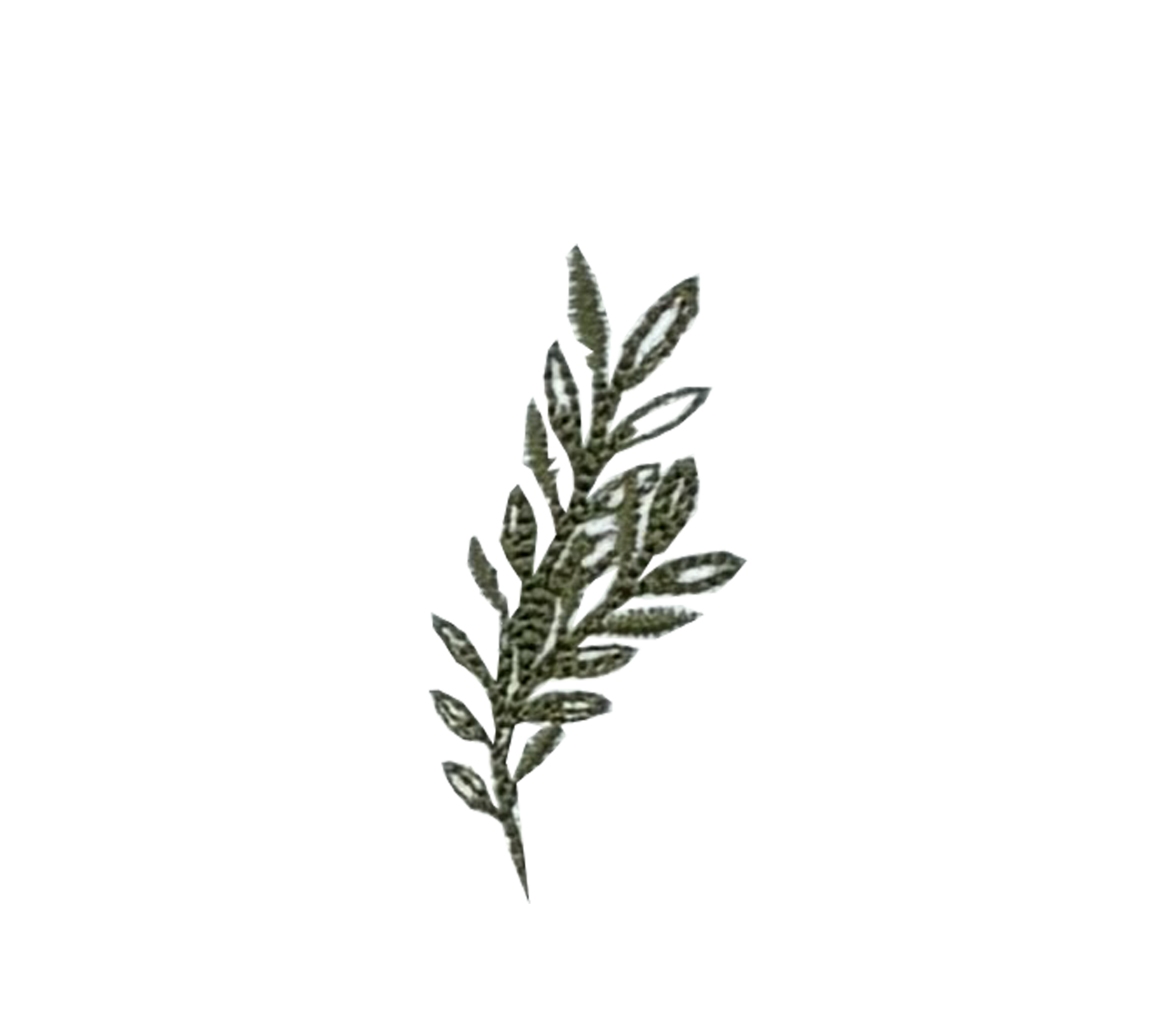 botanicals5..png