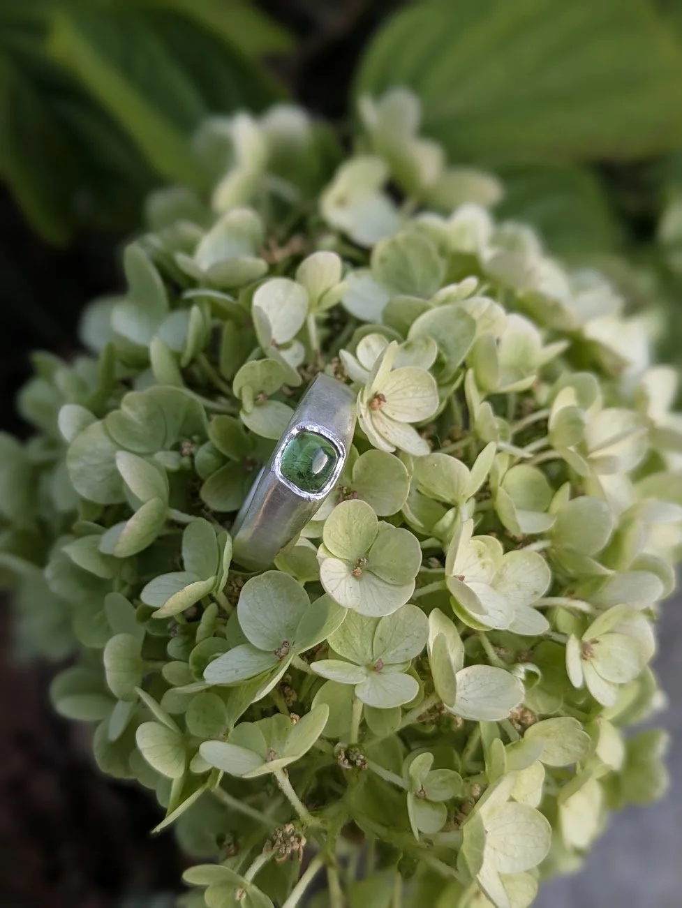 Fern Tourmaline Size - Size R 1/2