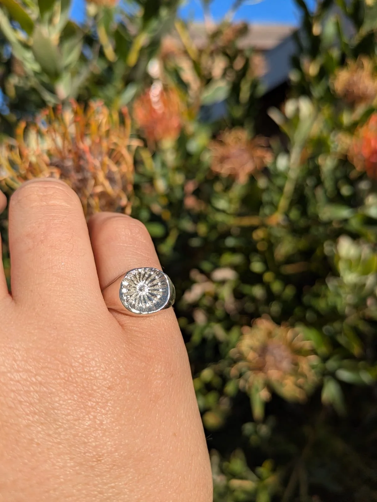 What the Poppies left behind - Size P1/2