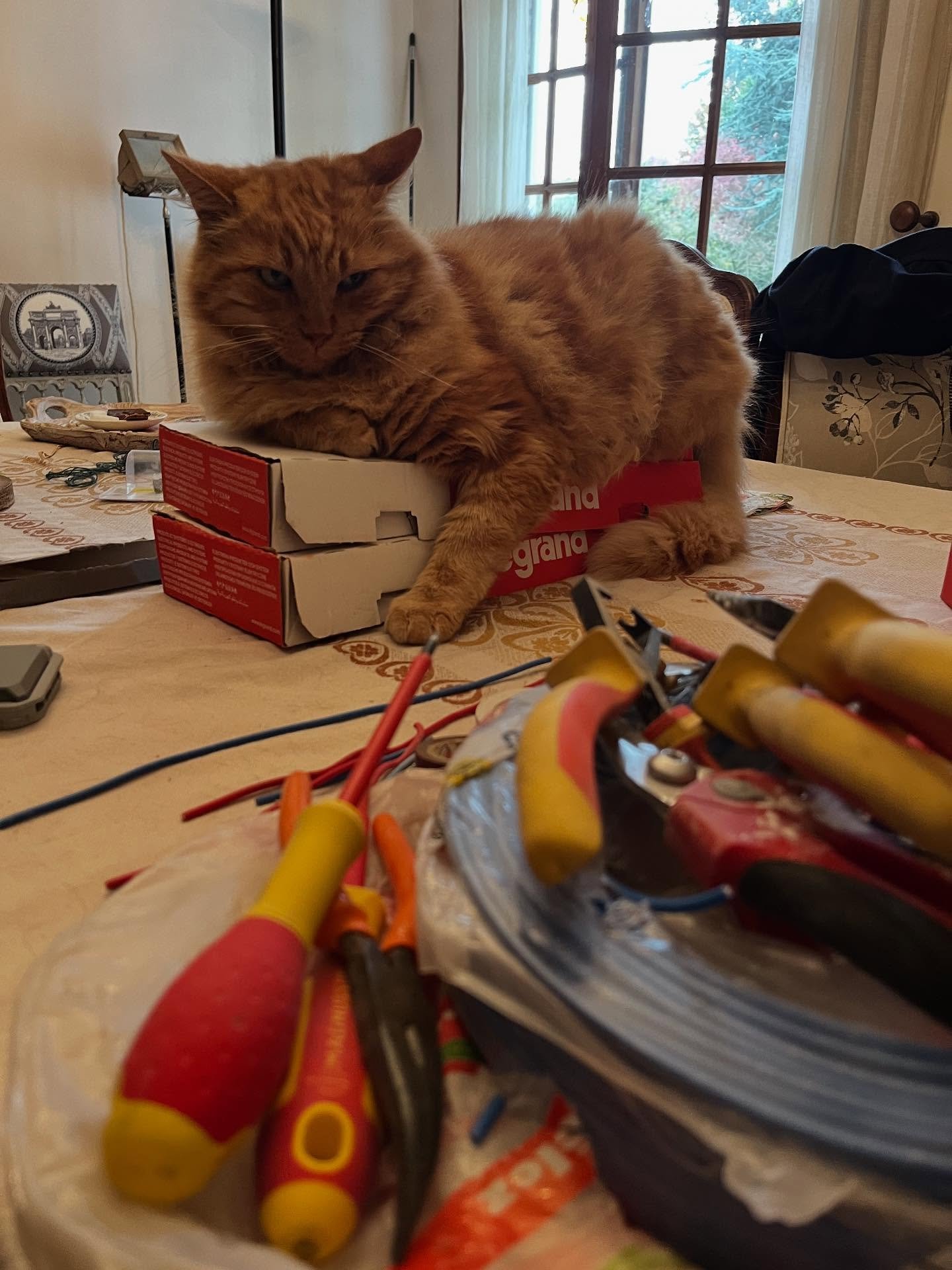&Ccedil;a ronronne fort sur les chantiers Lebel &eacute;lectricit&eacute; 🙂#&eacute;lectricien #caen #legrand