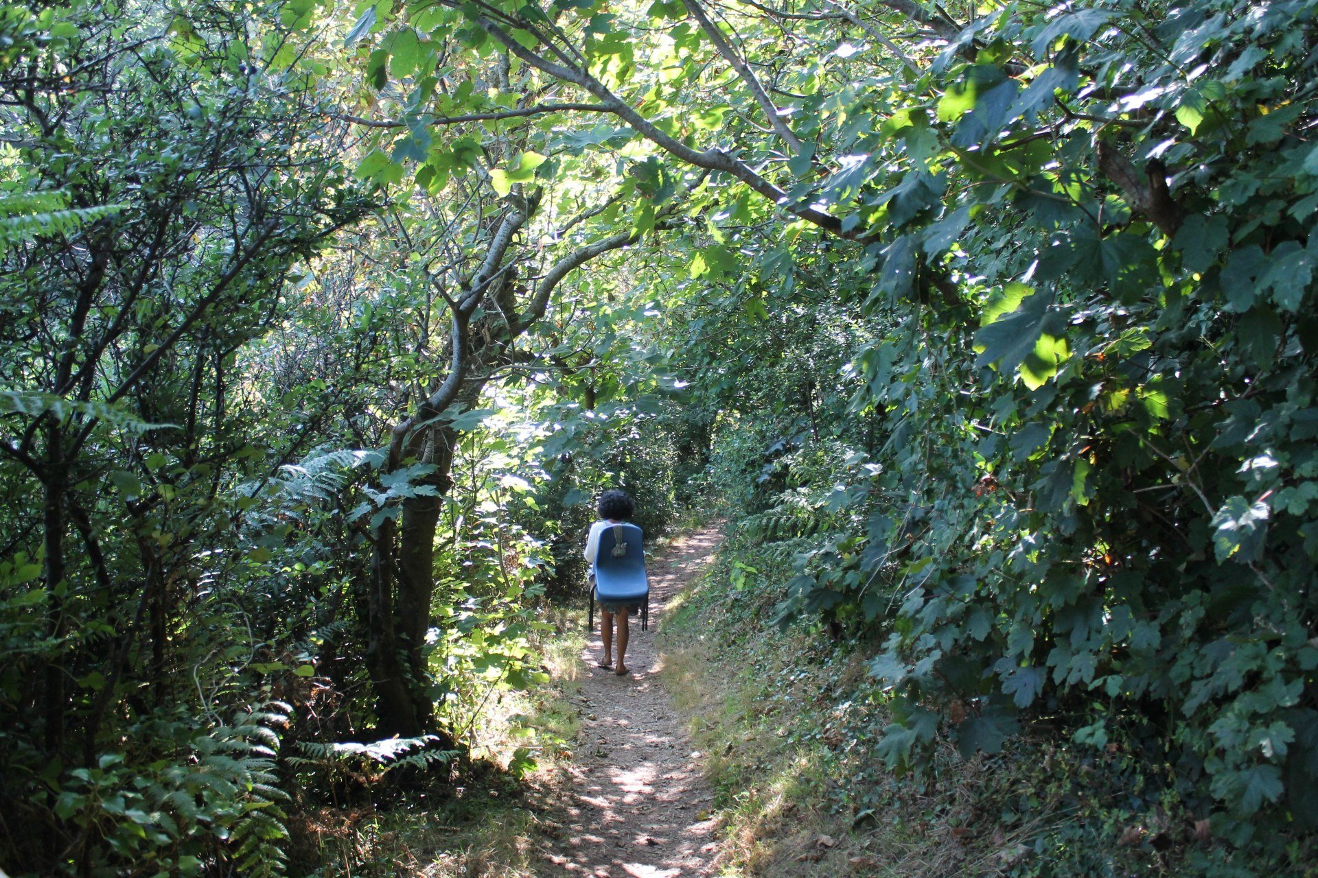 Artist Profiles - Farah Allibhai - Multidisciplinary Artist