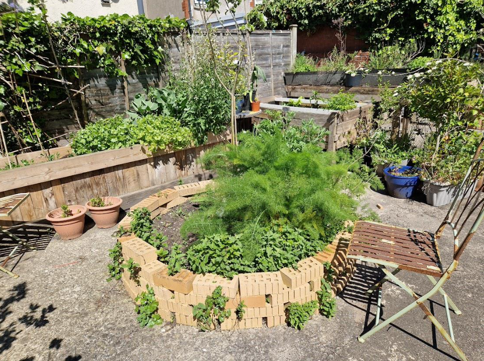 Garden update!!!