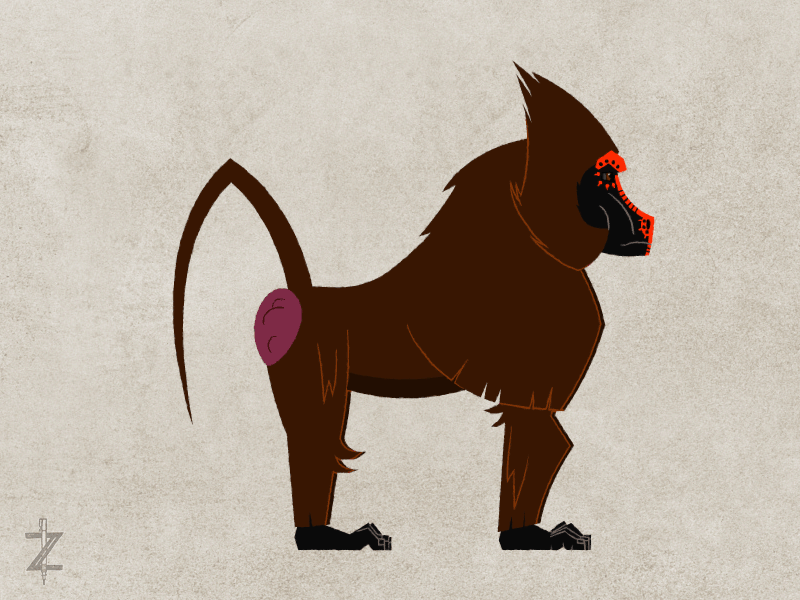 Baboon_2023_01-1_turn.gif
