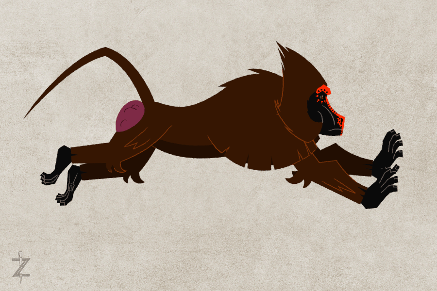Baboon_2023_01-1_sprint.gif