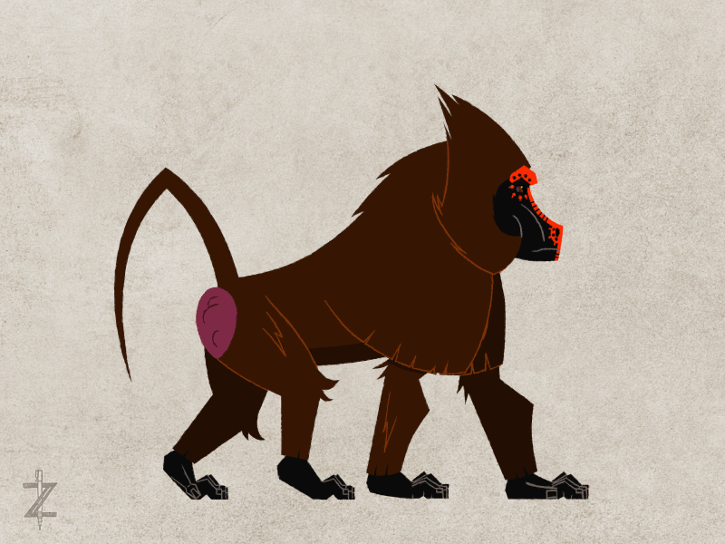Baboon_2023_01-1_walk.gif