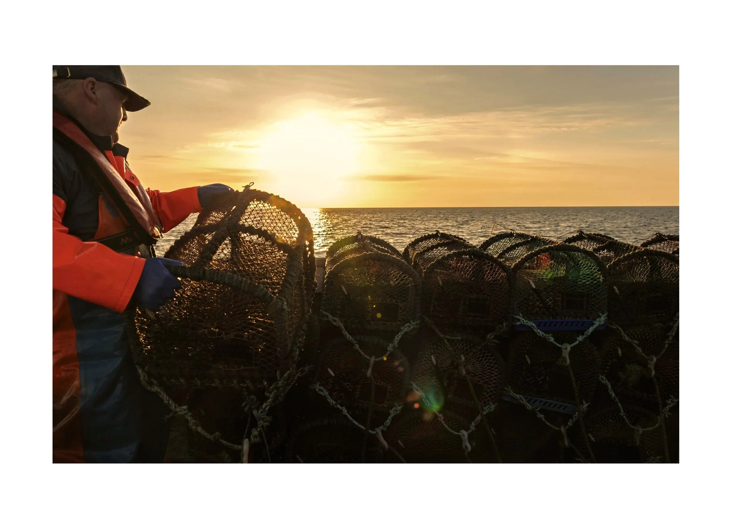 Fisherman in orange and black jacket and cap handling lobster traps on a boat during sunset.