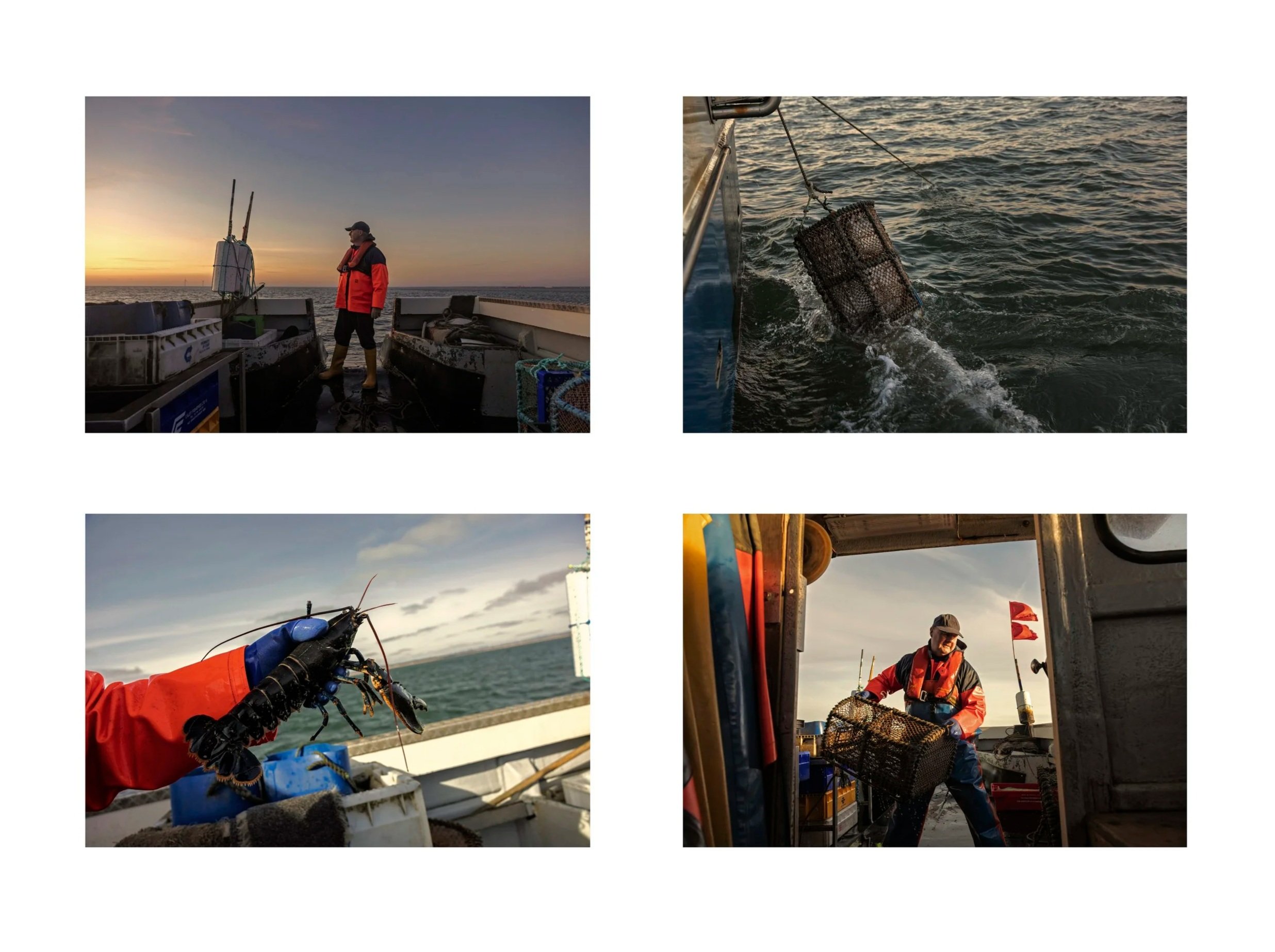 A collage of four images showing a fishing trip on a boat at sunrise or sunset. The first image shows a man in a red and black jacket standing on the boat's deck with fishing gear, against a sunrise or sunset sky. The second image shows a crab trap b