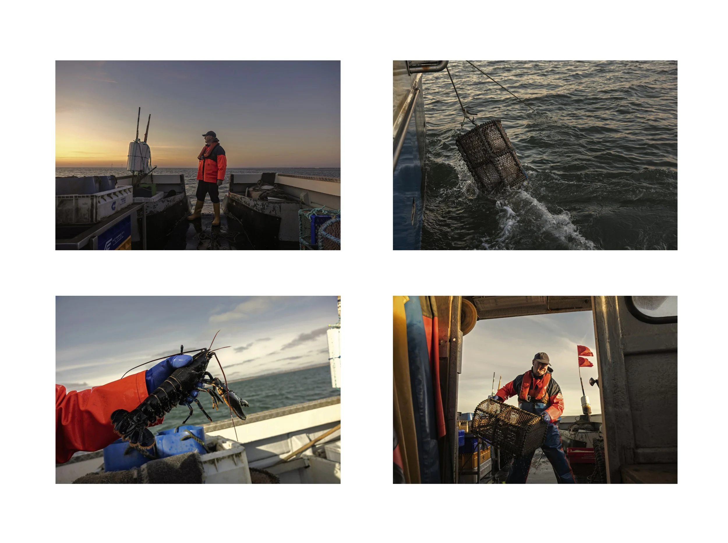 A collage of four images showing a fishing trip on a boat at sunrise or sunset. The first image shows a man in a red and black jacket standing on the boat's deck with fishing gear, against a sunrise or sunset sky. The second image shows a crab trap b